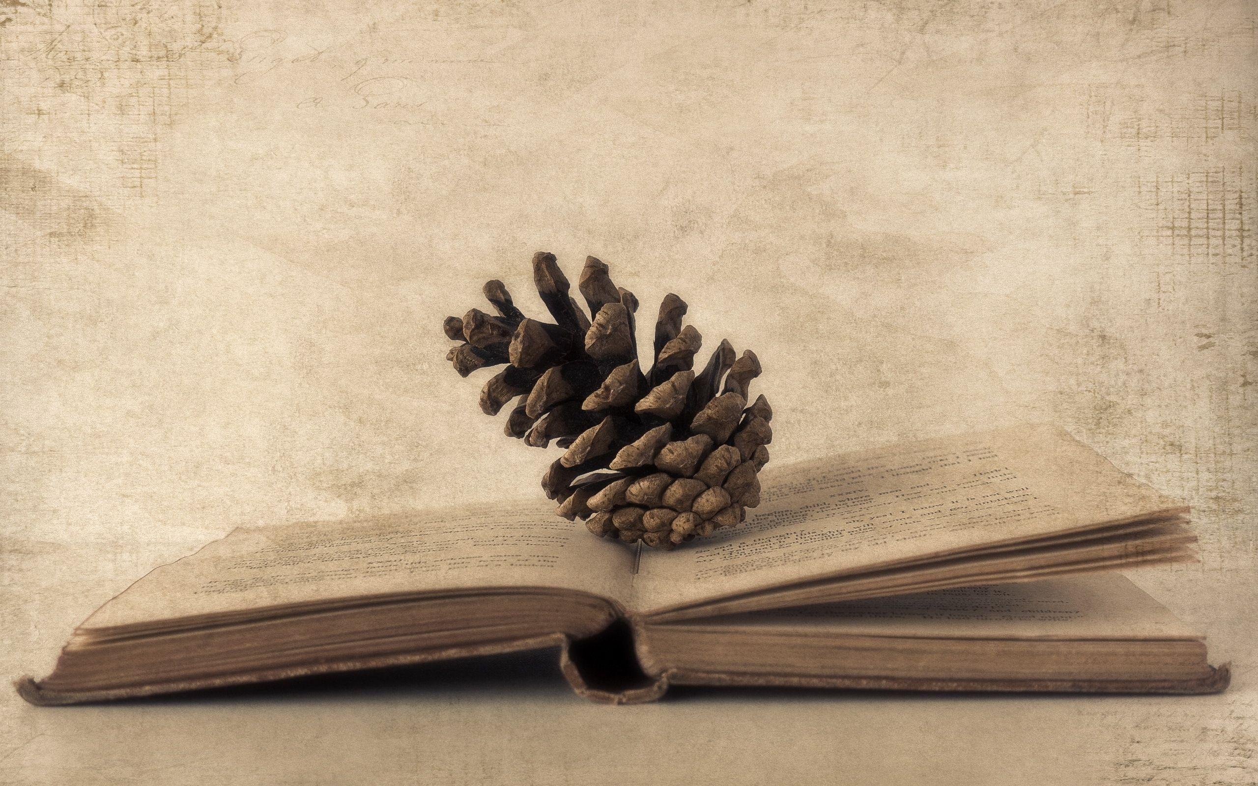 Wallpapers Book, Cones, Paper, Old photos HD, Picture, Image