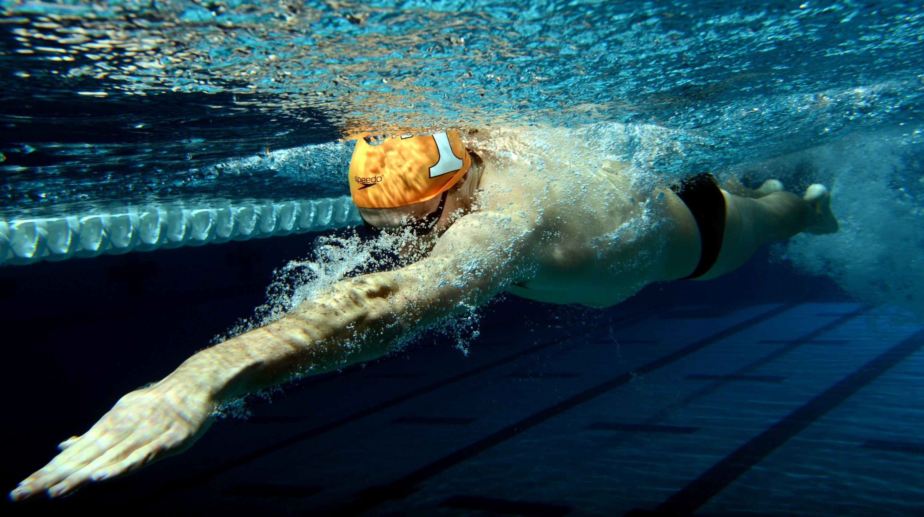 Swimming Photos Download The BEST Free Swimming Stock Photos  HD Images