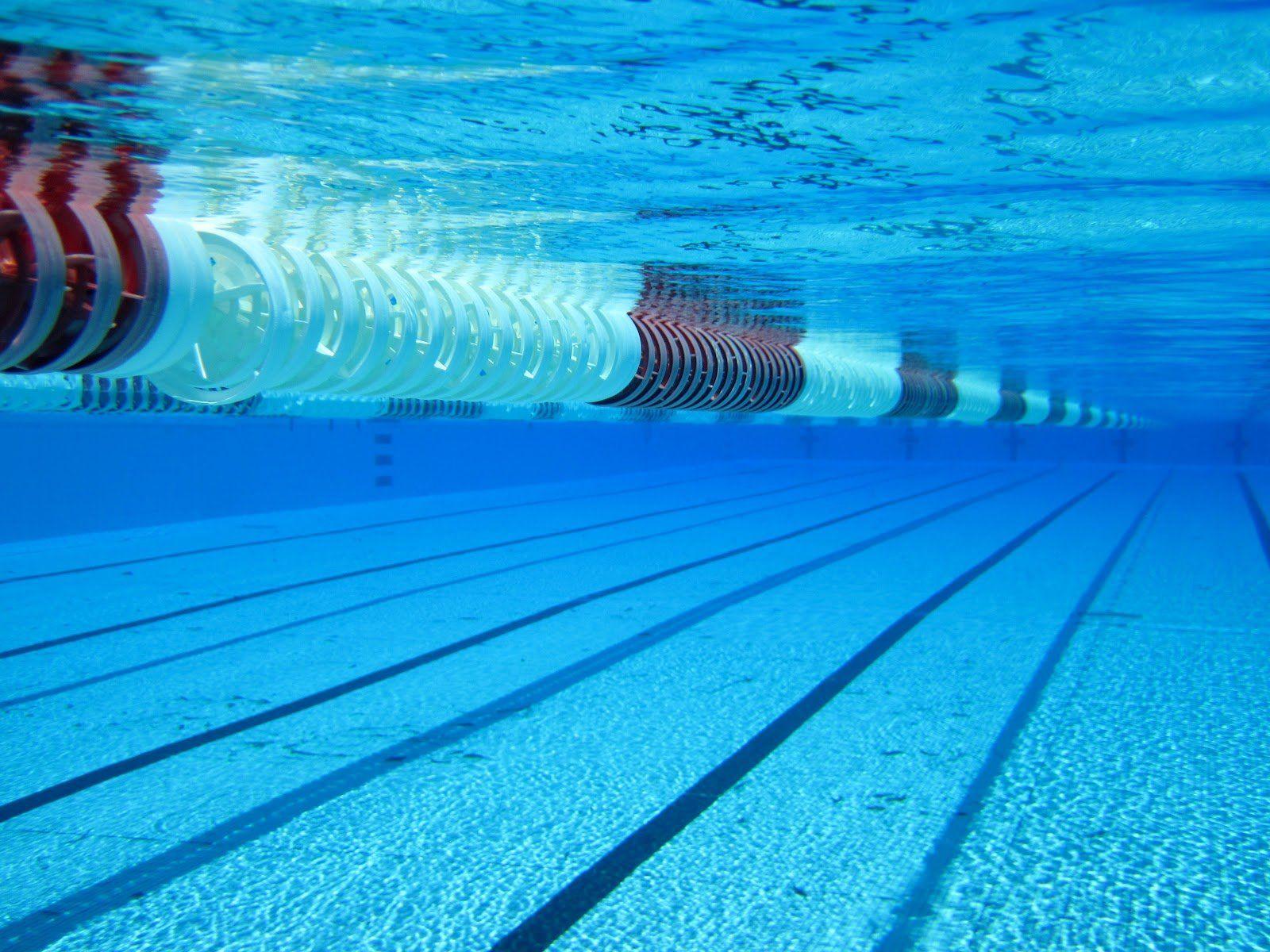 swimming wallpaper