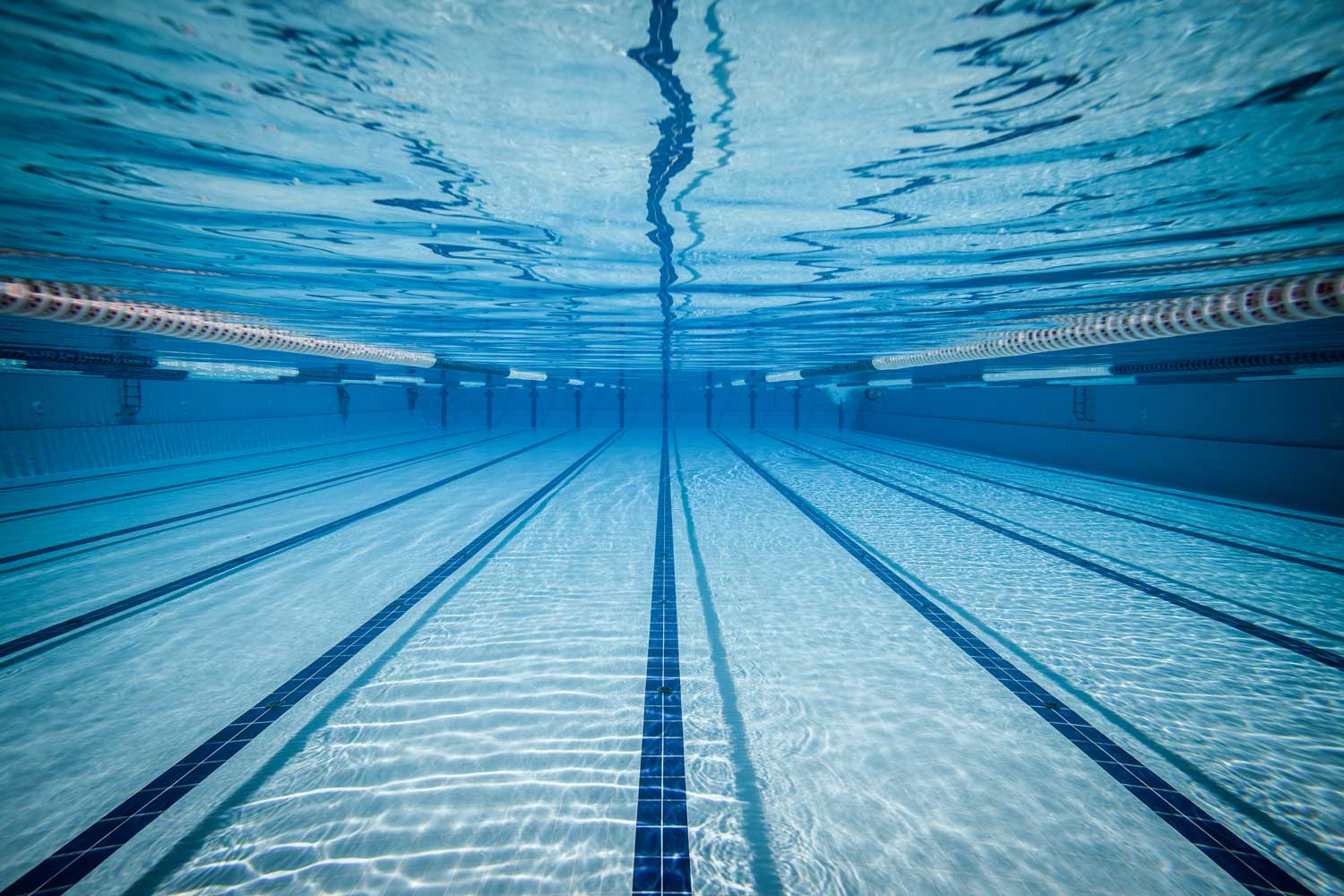 Swimming Wallpaper HD Background