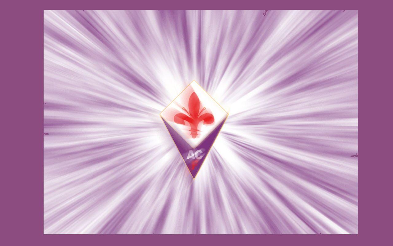 30+ ACF Fiorentina HD Wallpapers and Backgrounds