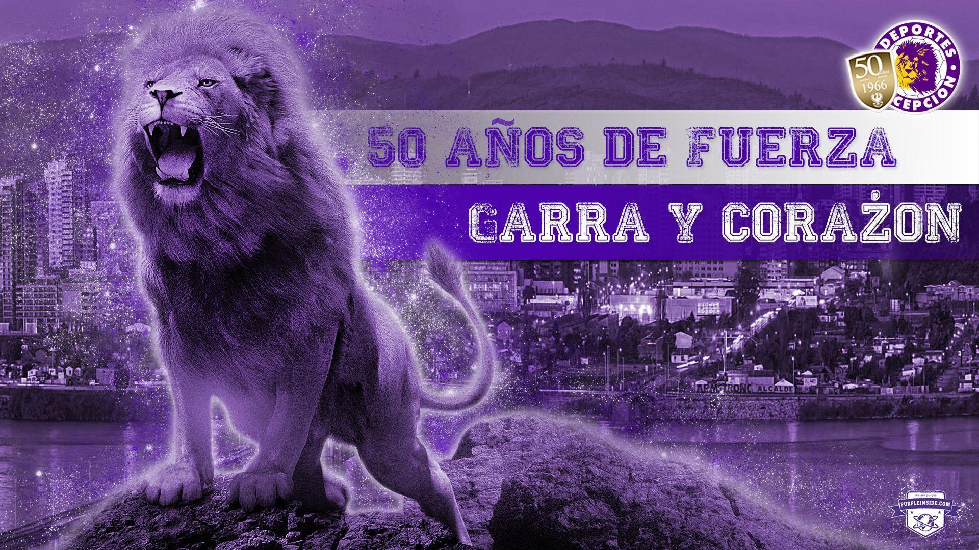 Deportes Concepción to Purple Inside!