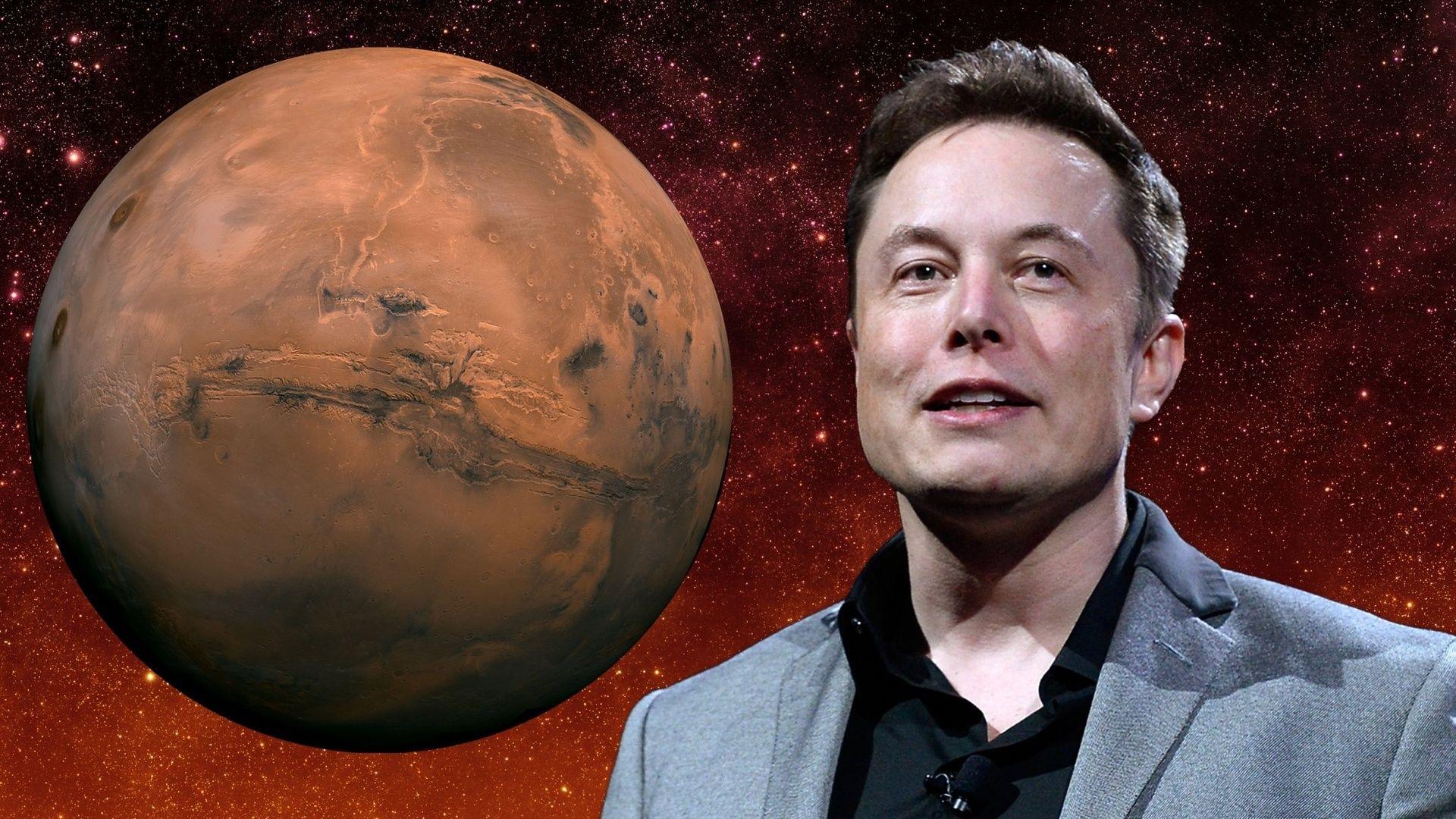 Elon Musk, Spacex, Ceo Of Spacex, Mars, Elonmusk, Photo