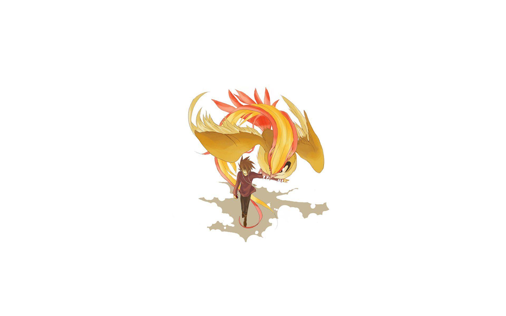 Pidgeot (Pokémon) HD Wallpaper and Background Image