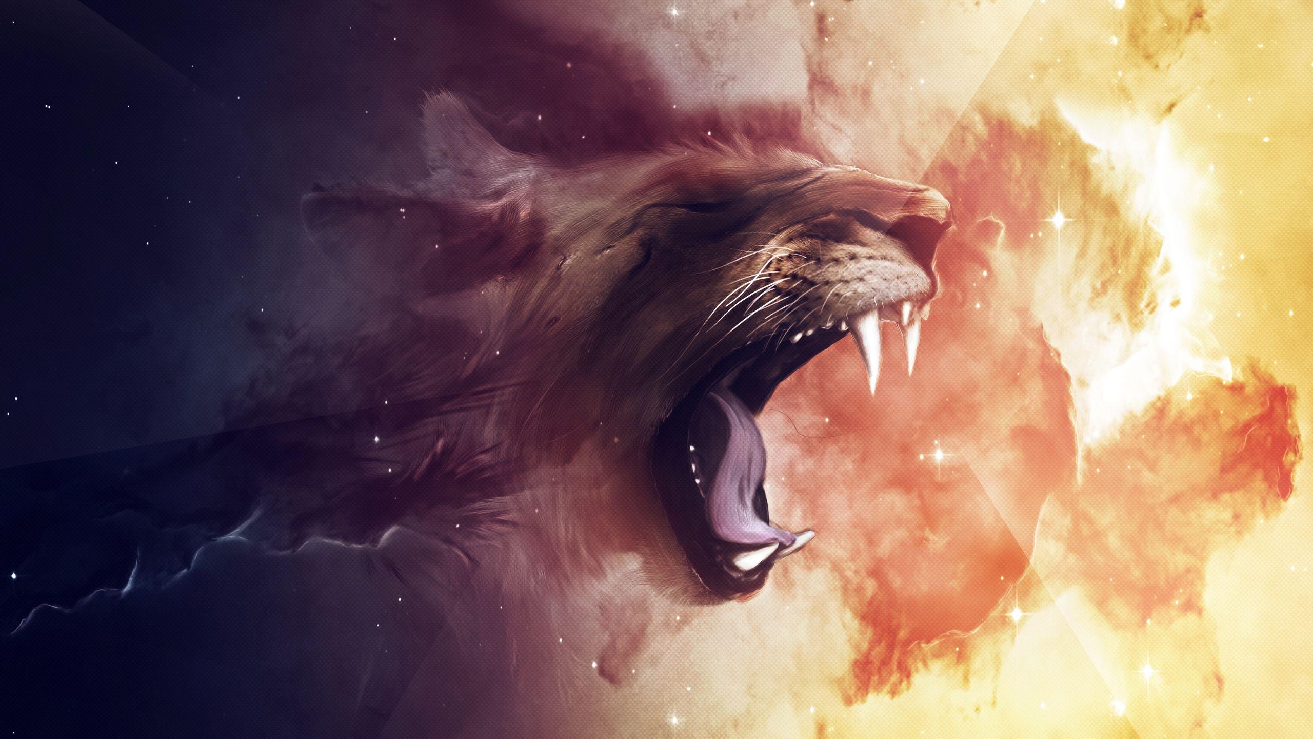 Lion HD Wallpaper