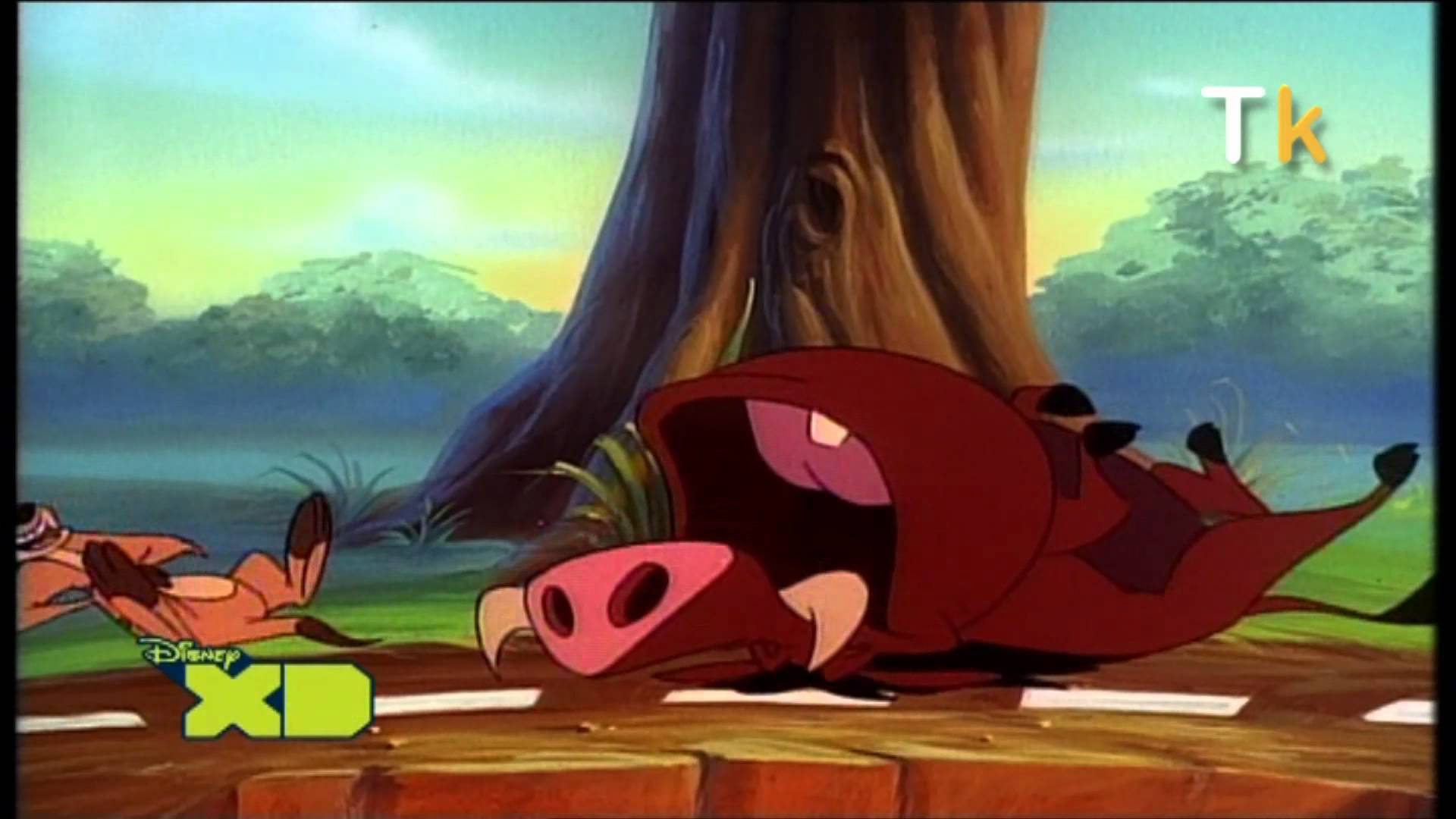 Timon & Pumbaa.