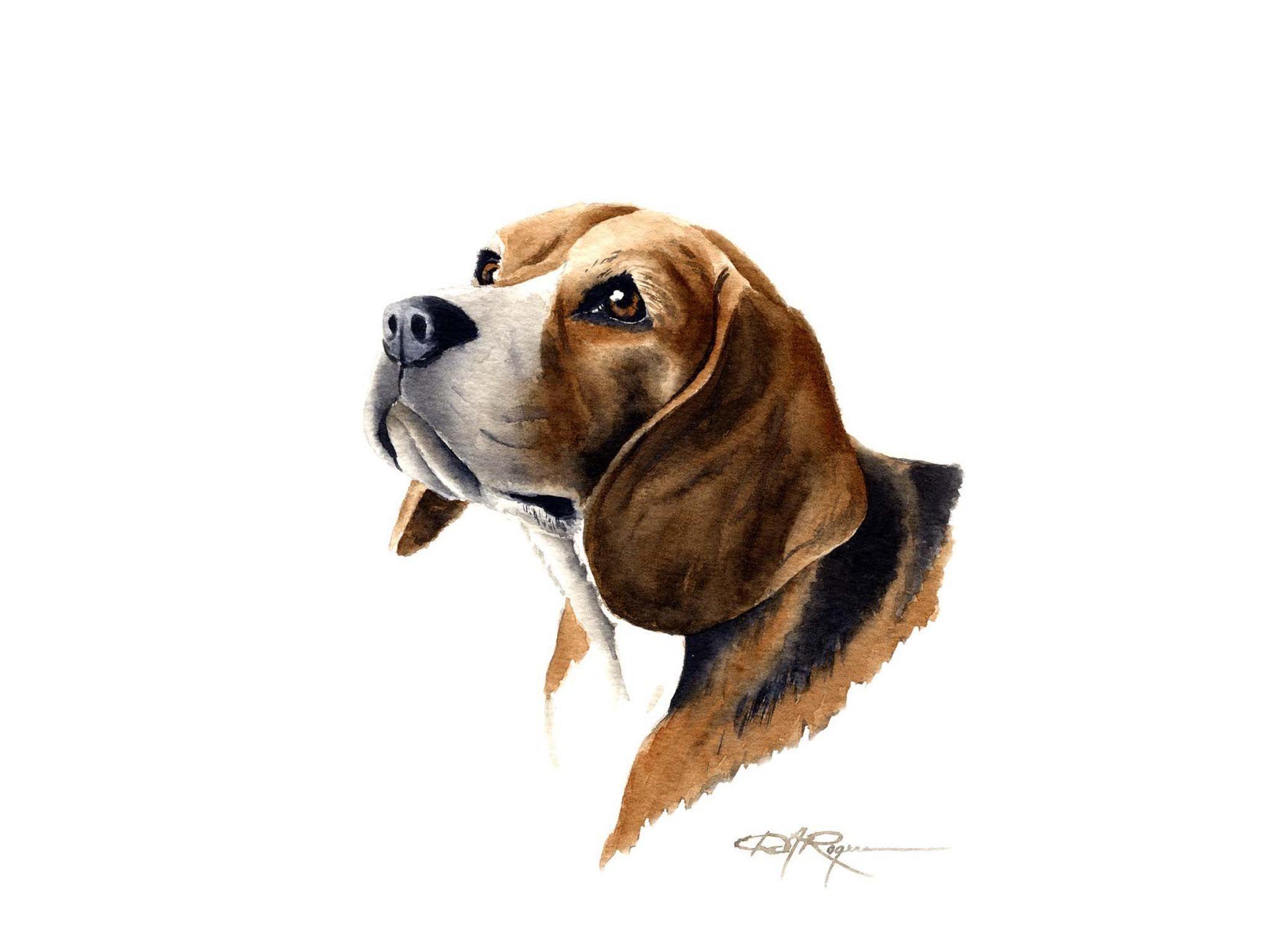 Beagles Wallpapers - Wallpaper Cave