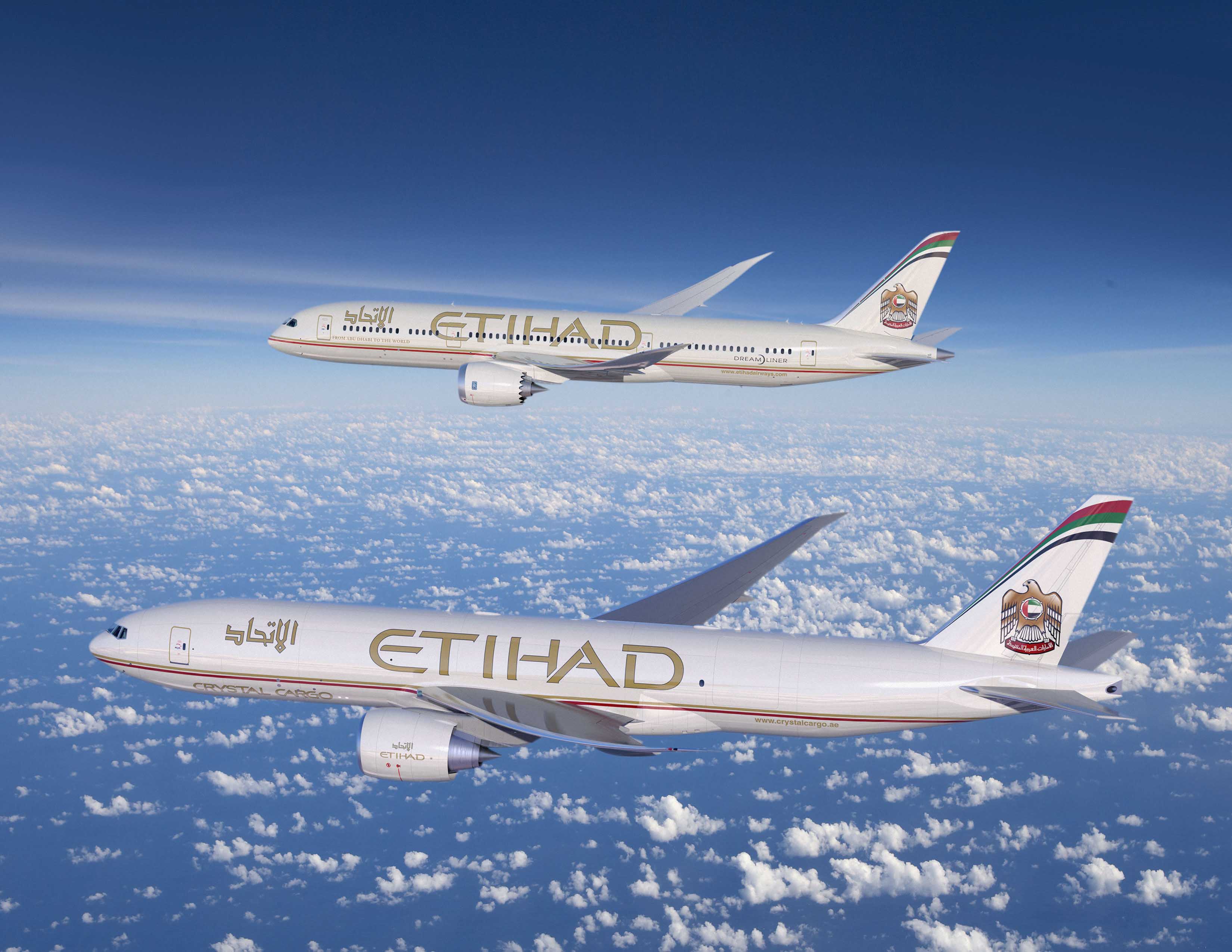 Boeing 787 900 etihad схема салона