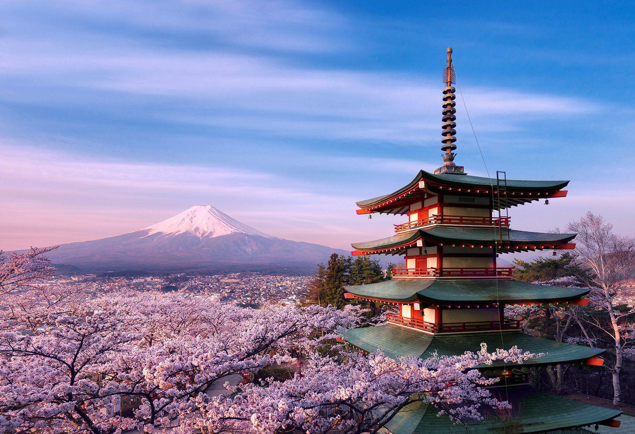 Mt Fuji Cherry Blossom Wallpaper Free, 3D & abstract Flower