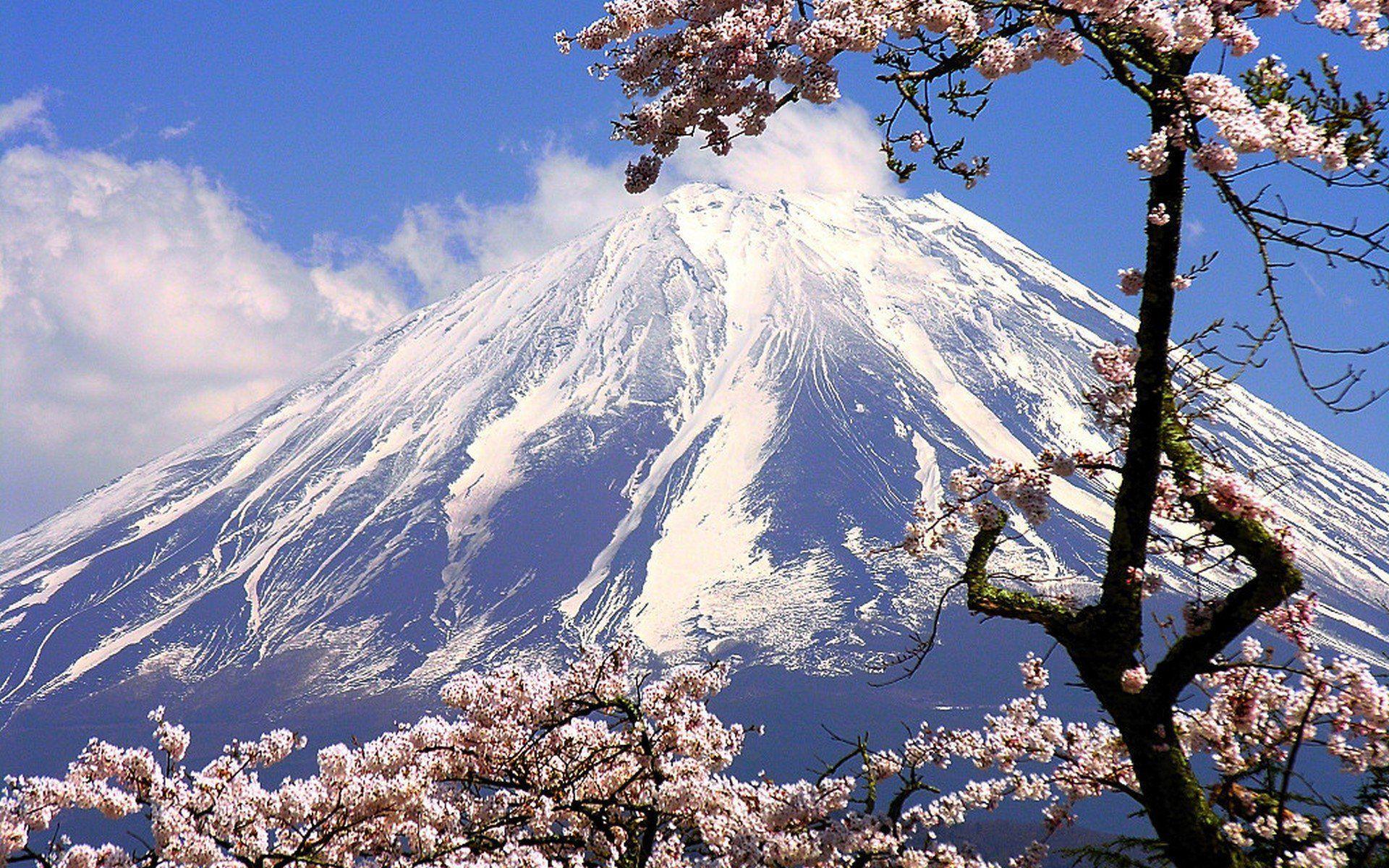 Mt Fuji Japan Landscape Mount Fuji Mountains Hd Wallp - vrogue.co