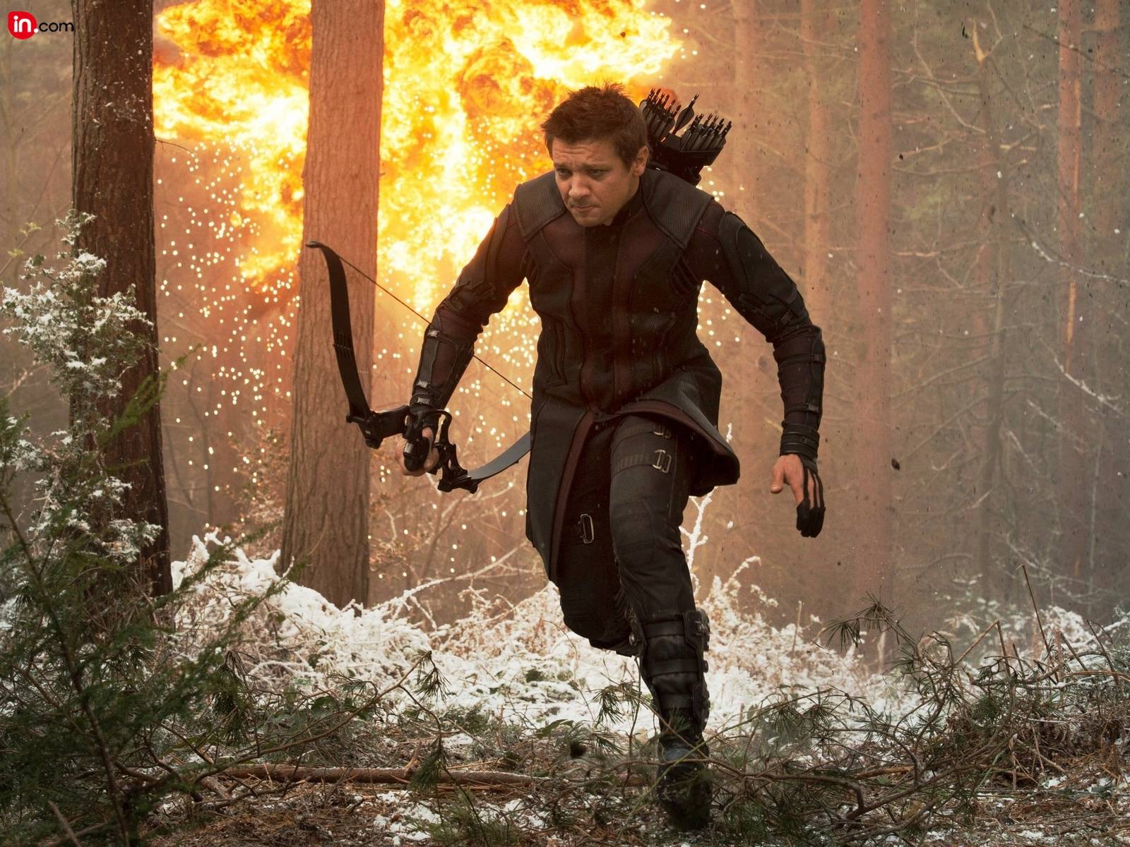 Jeremy Renner Photo, Pics, Jeremy Renner Wallpaper, Videos, News