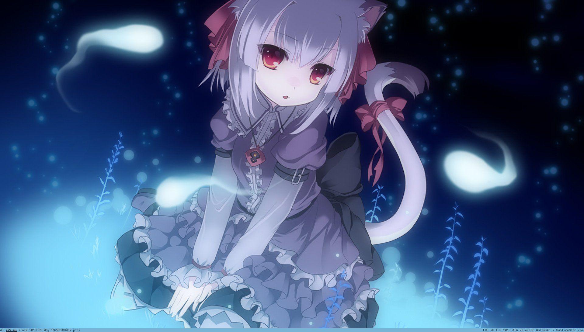 Kawaii Cat Girls Wallpapers Wallpaper Cave