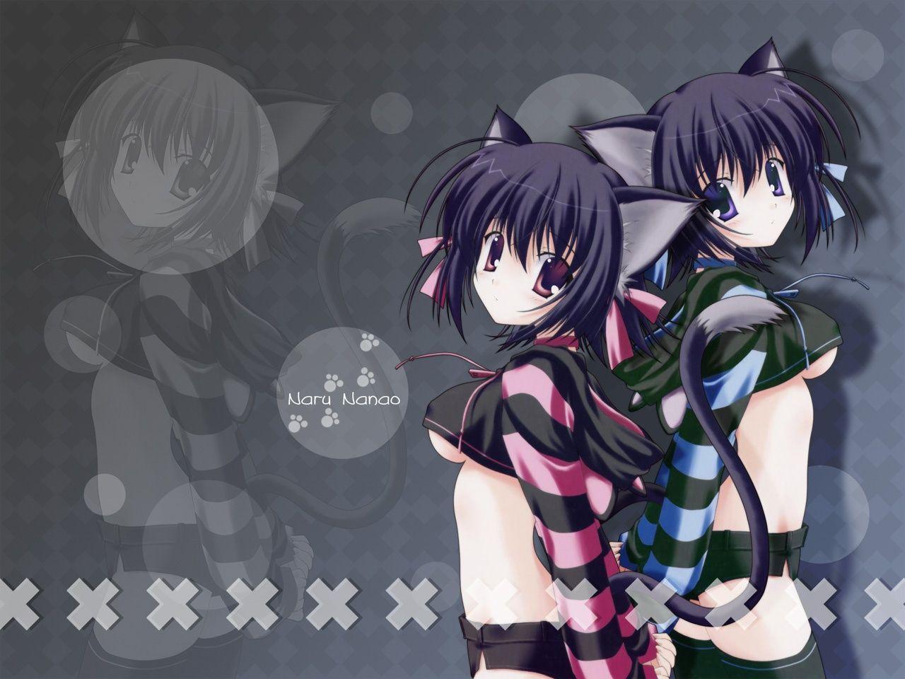 Anime Cat Girl Wallpaper (62 Wallpaper)