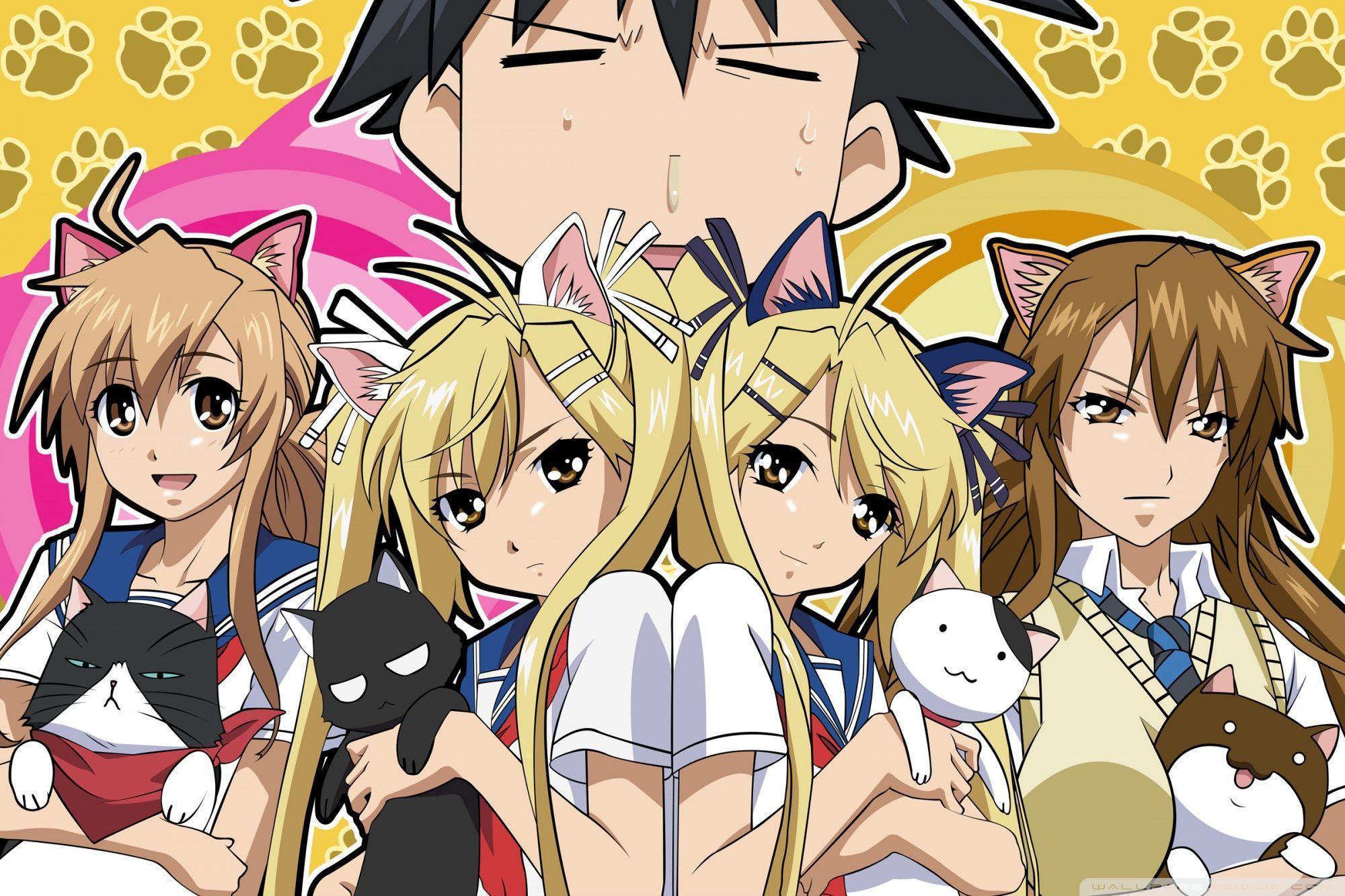 Cat Girls Anime HD desktop wallpaper