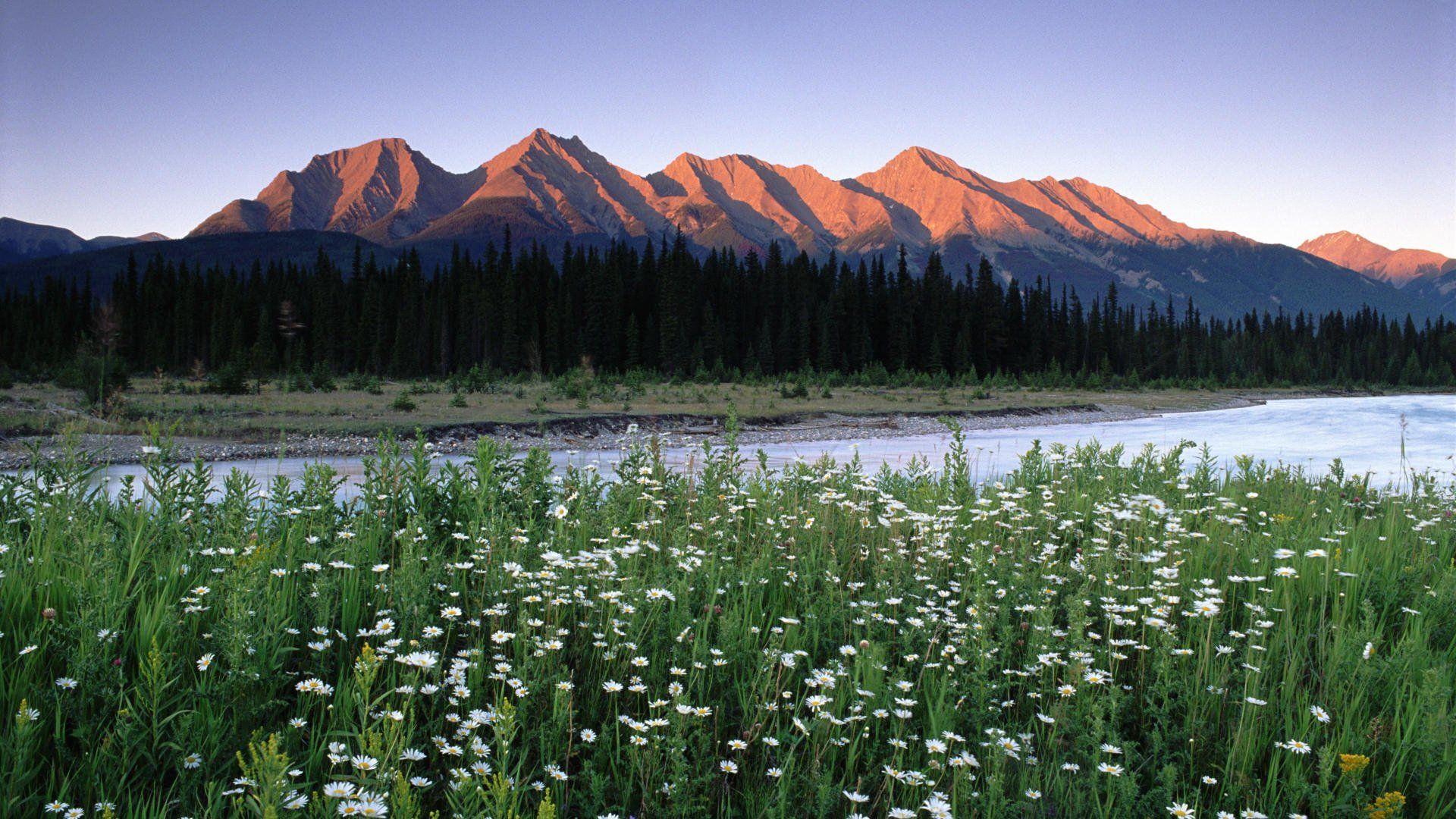 British Columbia Rocky Mountains Wallpaper