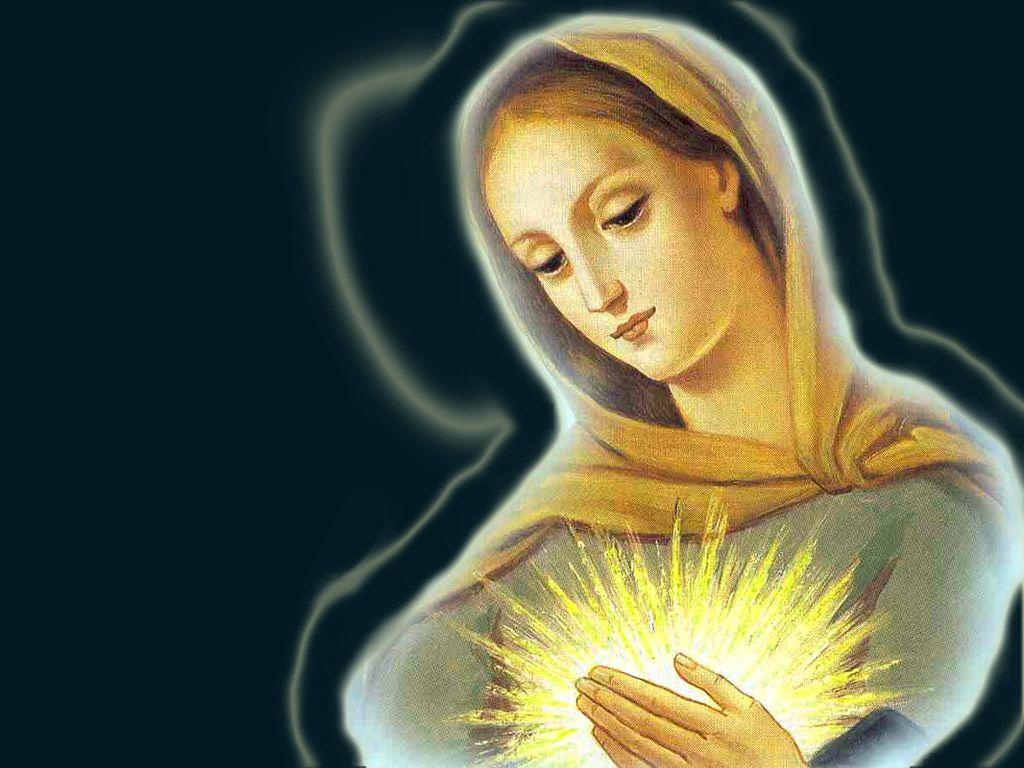 Virgin Mary Wallpaper Free HD Background Image Picture