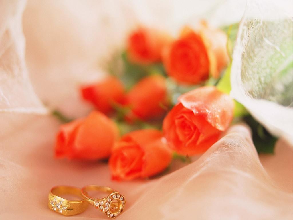 1,000+ Free Engagement & Wedding Images - Pixabay