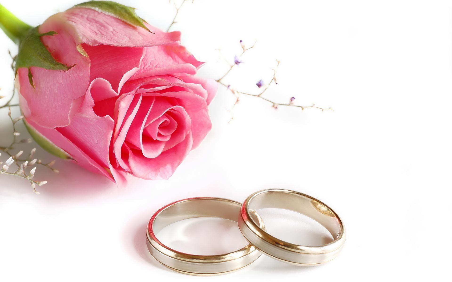 Wedding Rings And Flowers Wallpaper