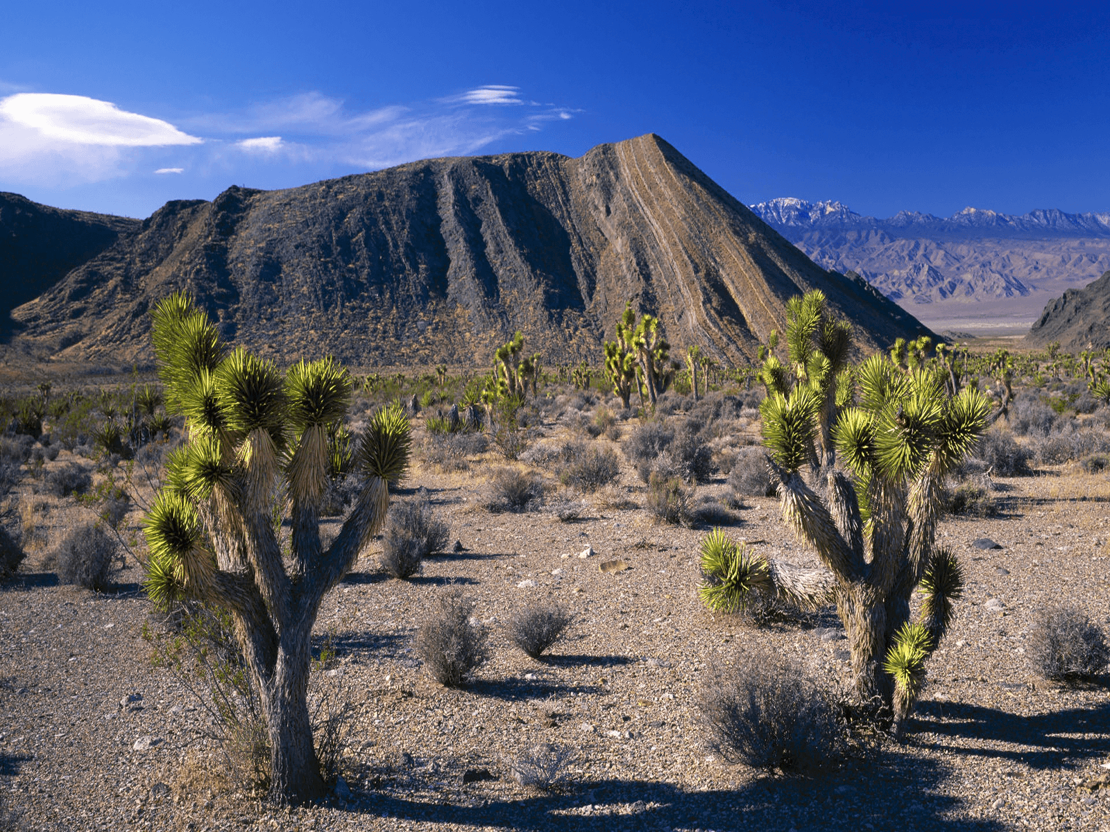 Nevada Wallpaper, Top Beautiful Nevada Image, 26 HD Widescreen