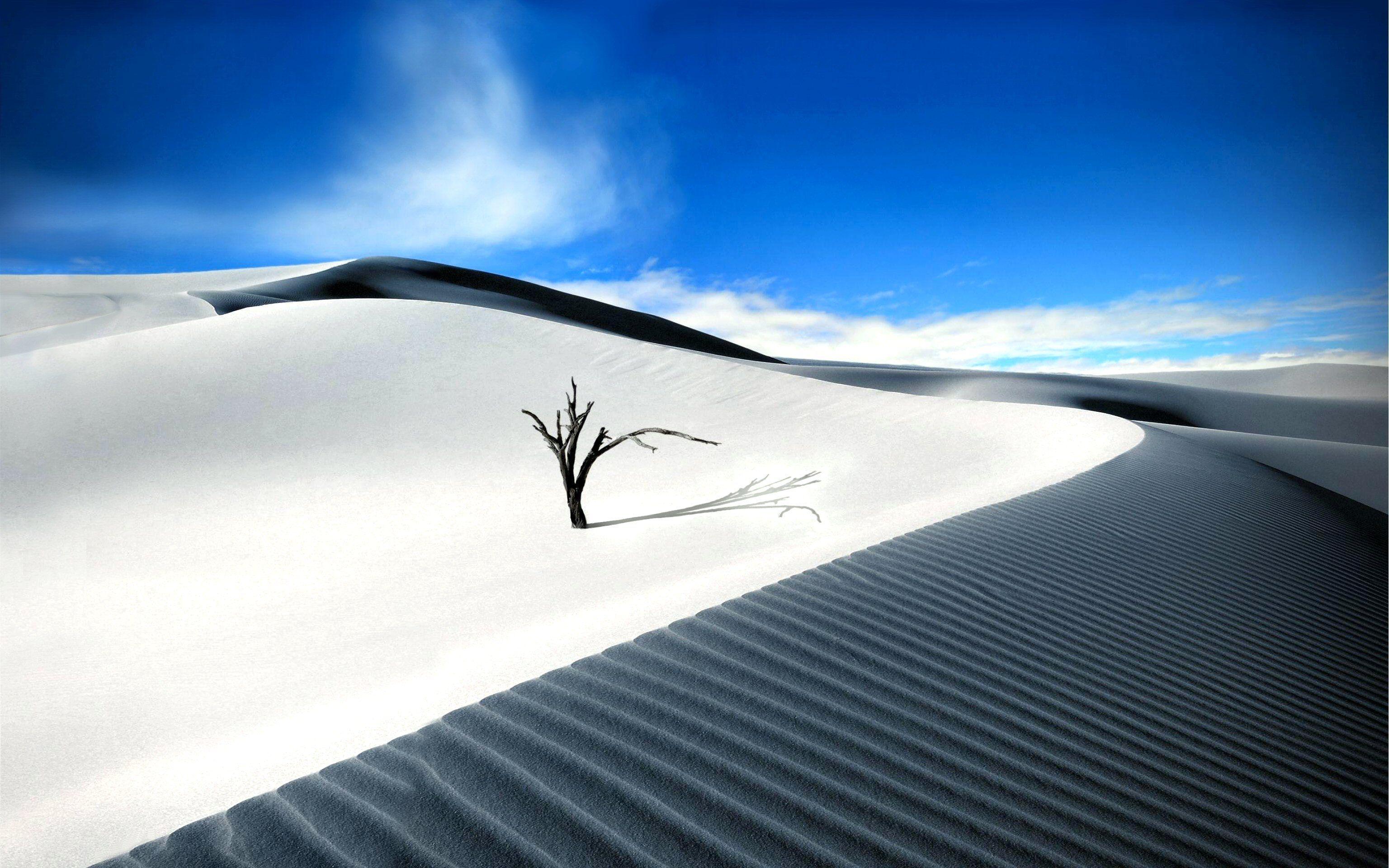 Desert HD Wallpaper