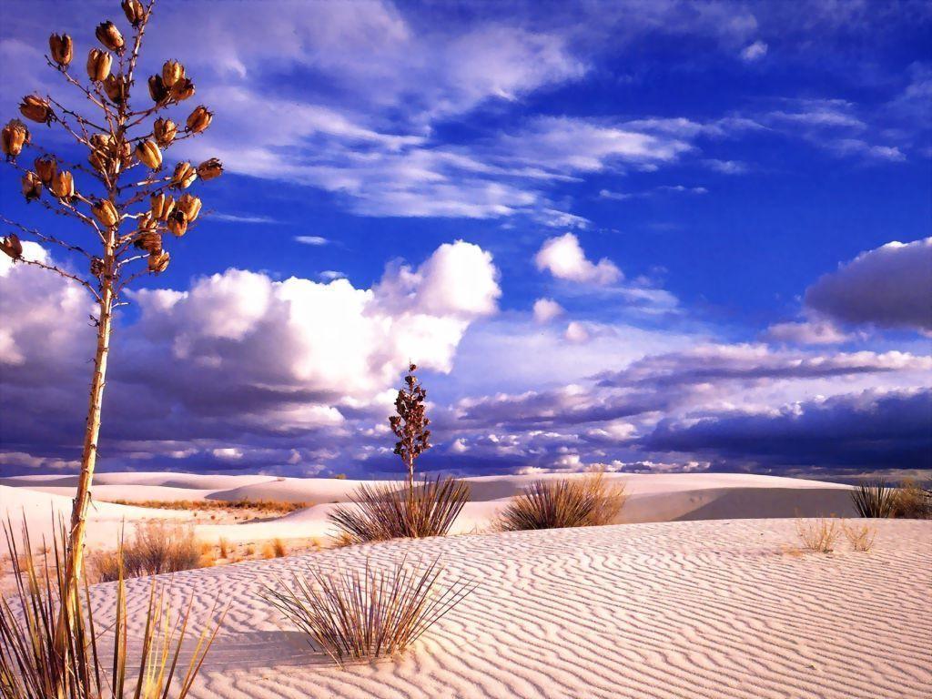 Download desert wallpaper for desktop, free desert picture