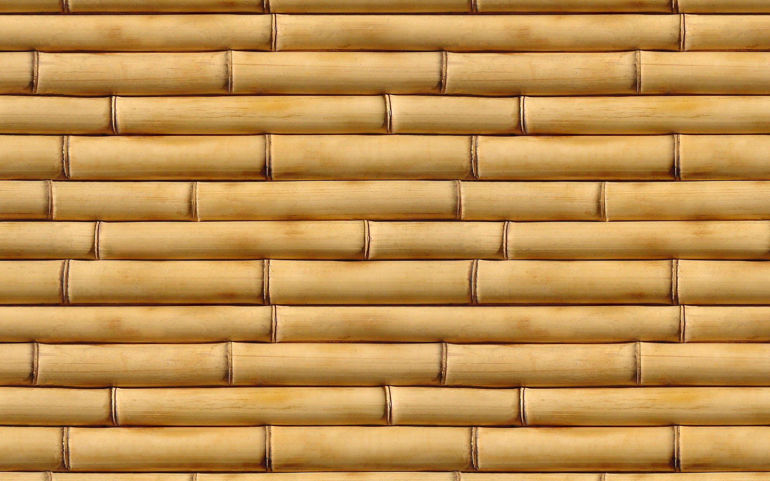 Download Wallpaper 2560x1600 Bamboo, Vertical, Wood 2560x1600 HD