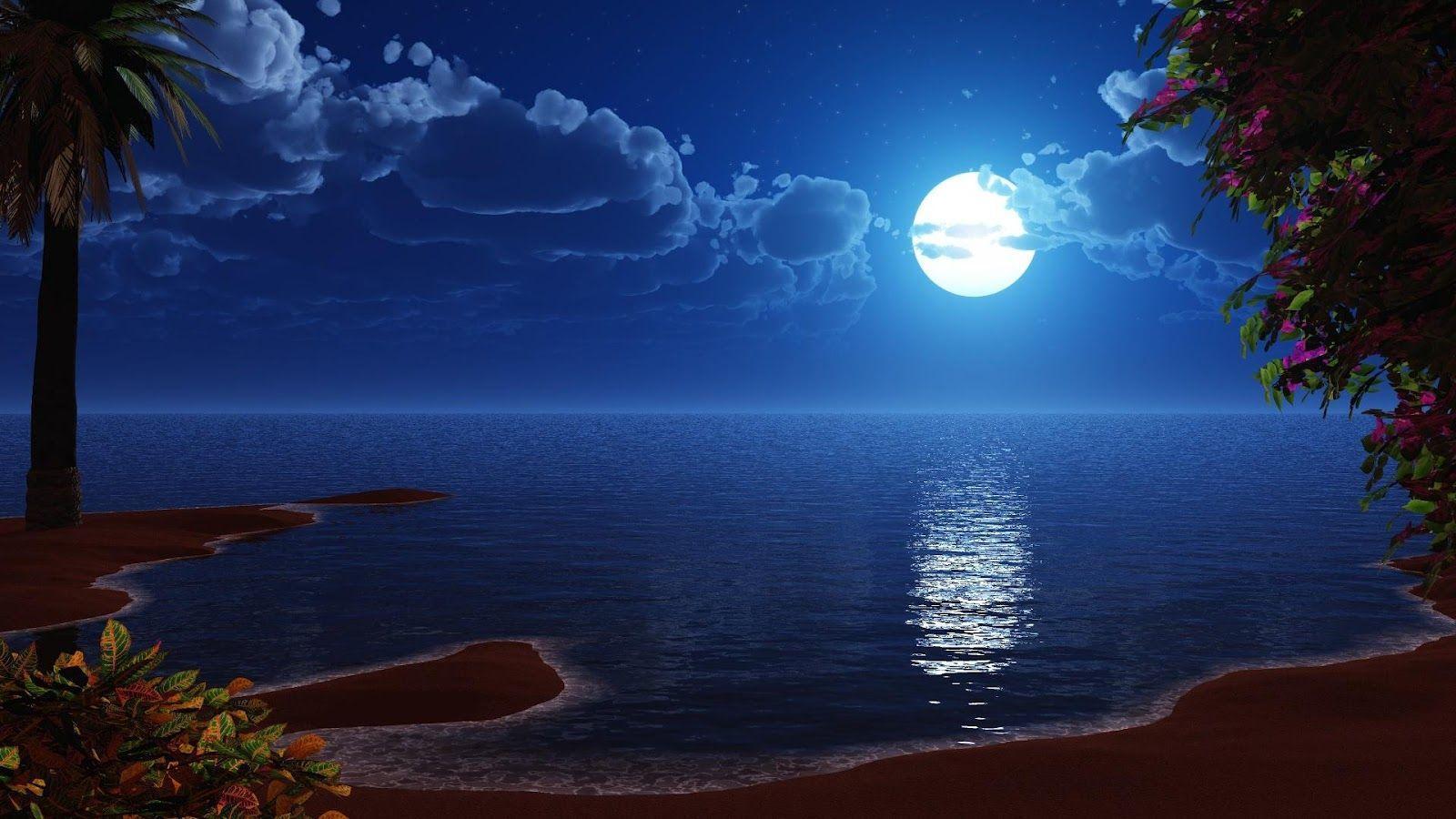 Beautiful Night Moon Photo HD Wallpaper Free Full Moon Wallpaper
