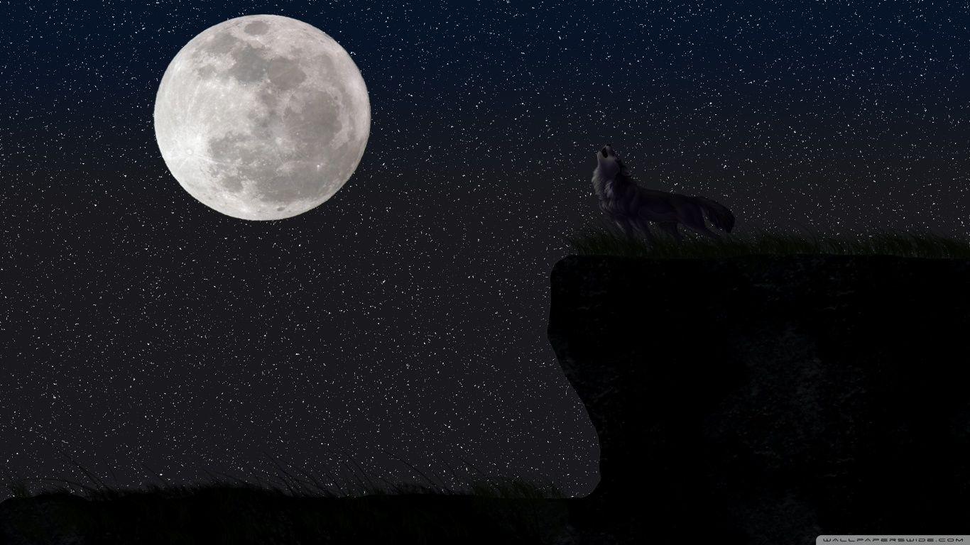 Wolf and Moon HD desktop wallpaper, Widescreen, High Definition