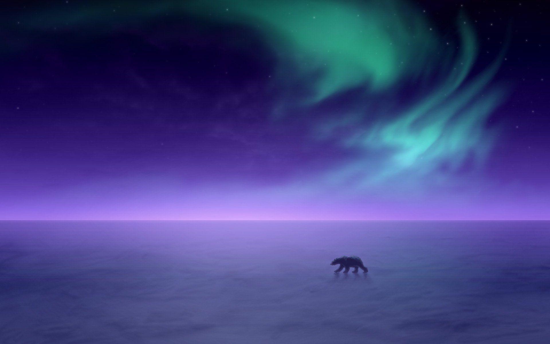 North Pole Aurora Aurora Image 2017