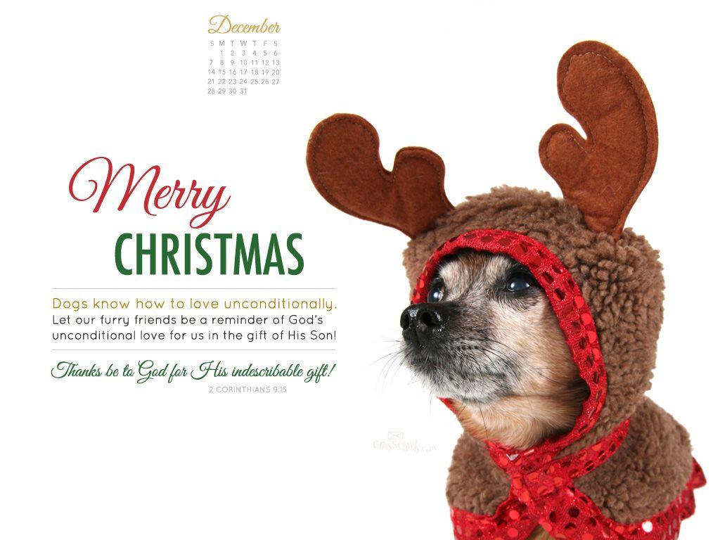 Christmas Puppy Desktop Wallpaper