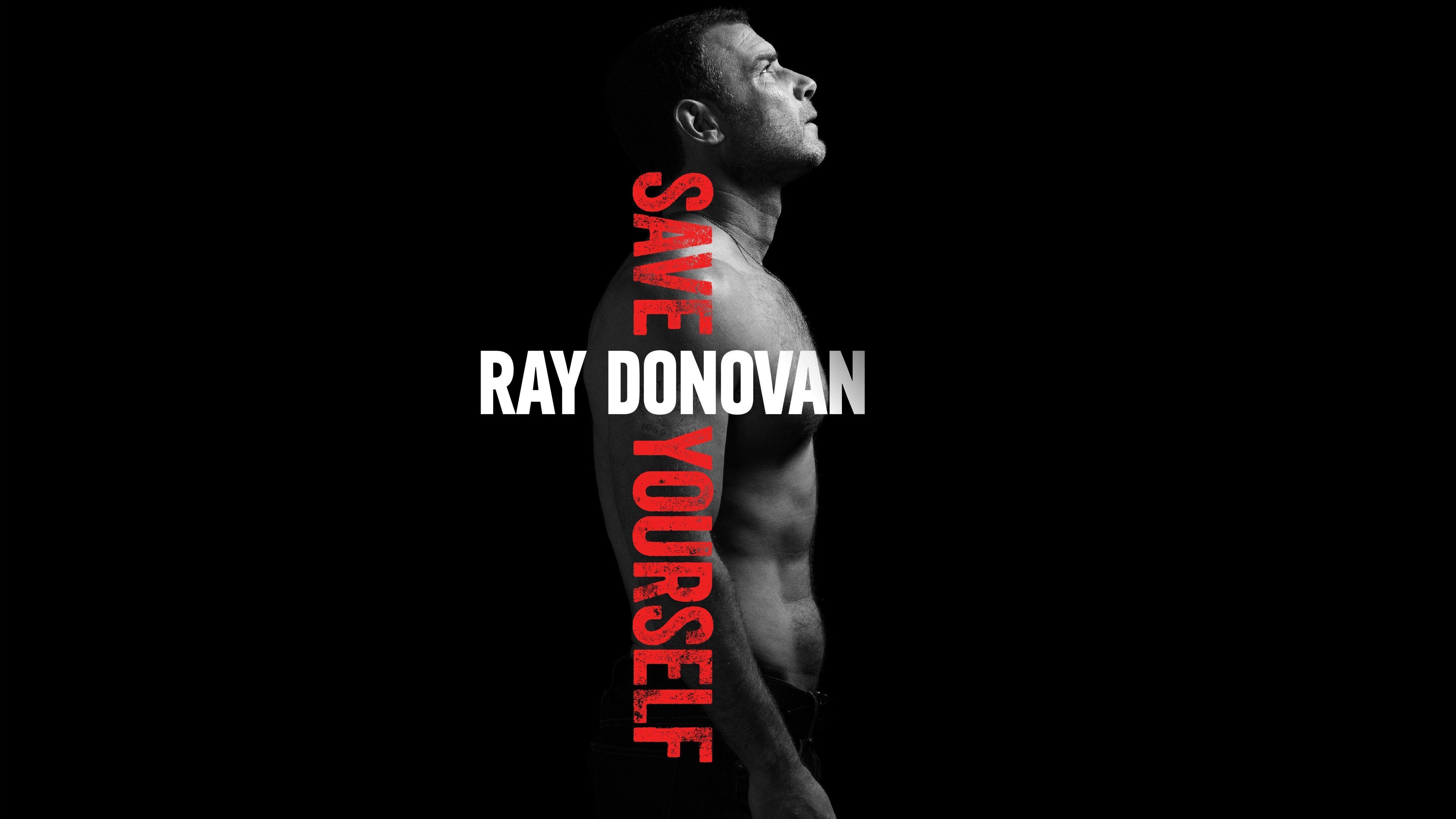 Ray Donovan TV Series 2016 Wallpaper