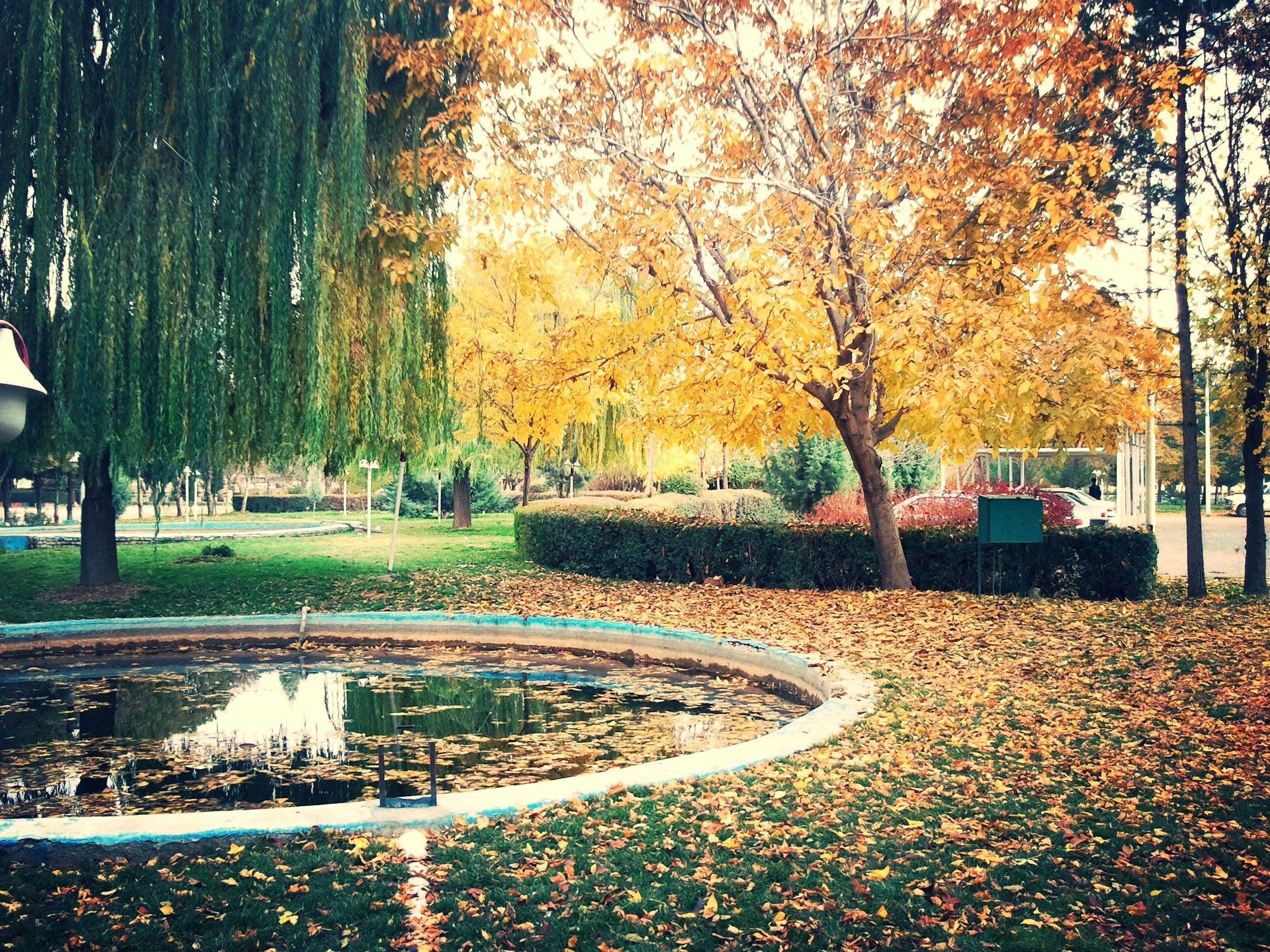 Iran, Kermanshah, Fall, Trees, Nature Wallpaper HD / Desktop