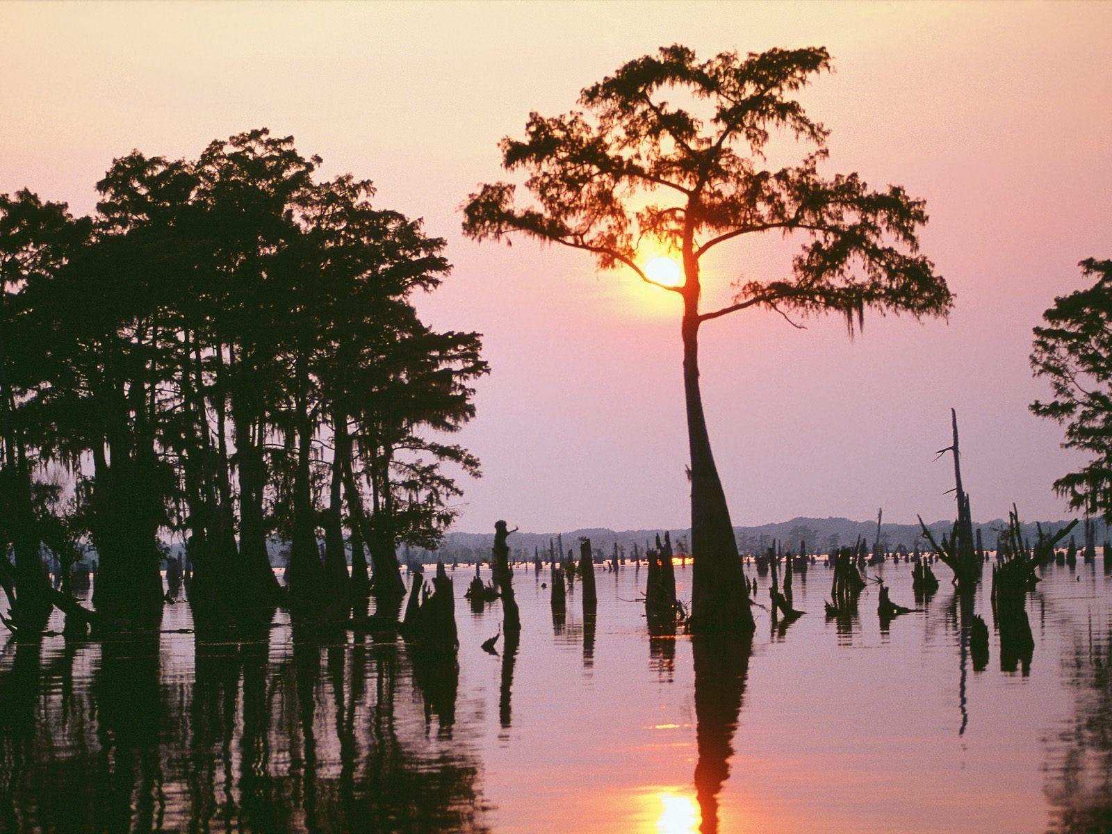 Louisiana HD Wallpapers and Backgrounds