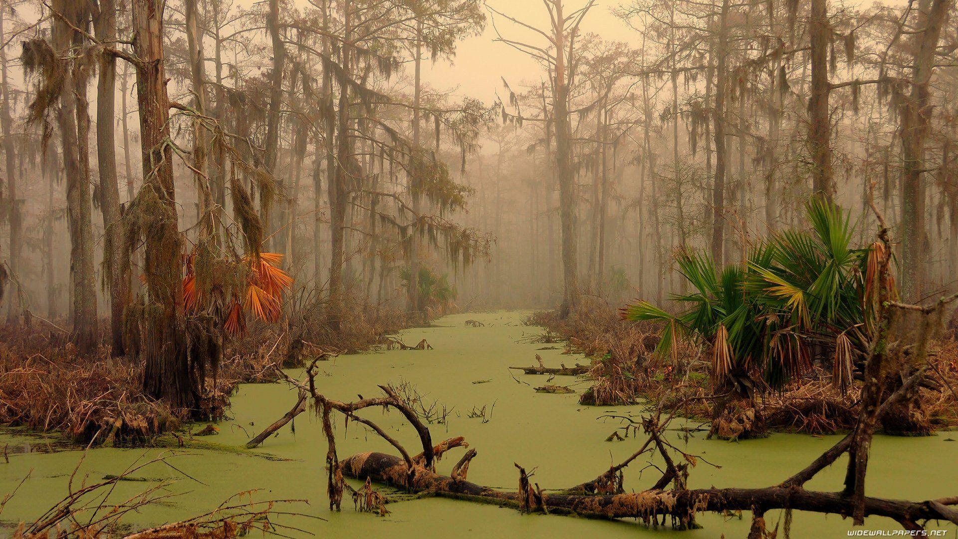 Louisiana Wallpapers Wallpaper Cave