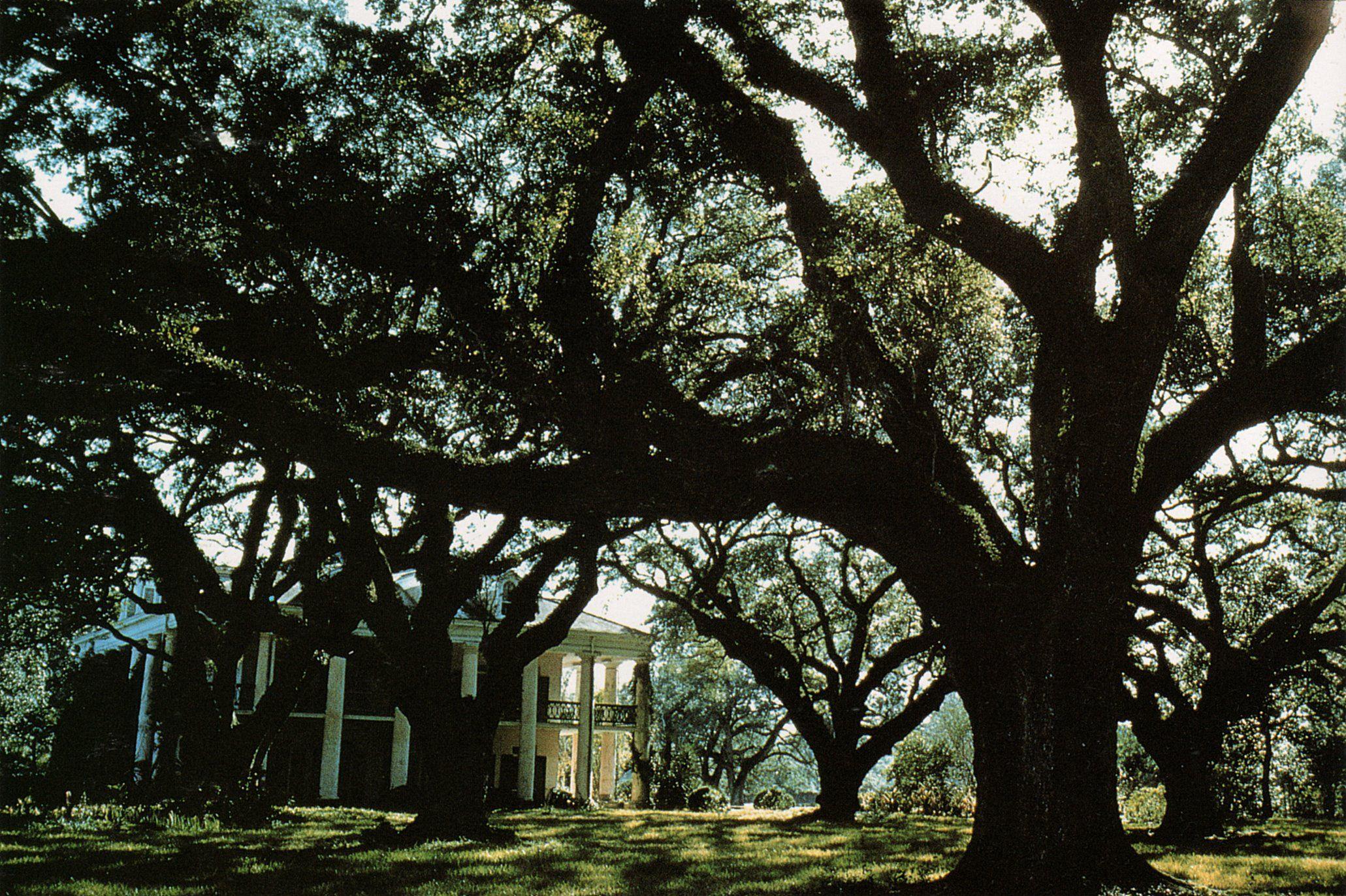 ernst haas oak alley plantation louisiana kodachrome 1961 high