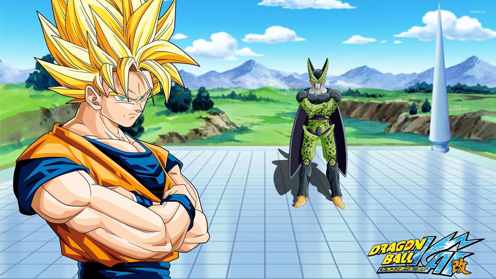 Goku & Cell