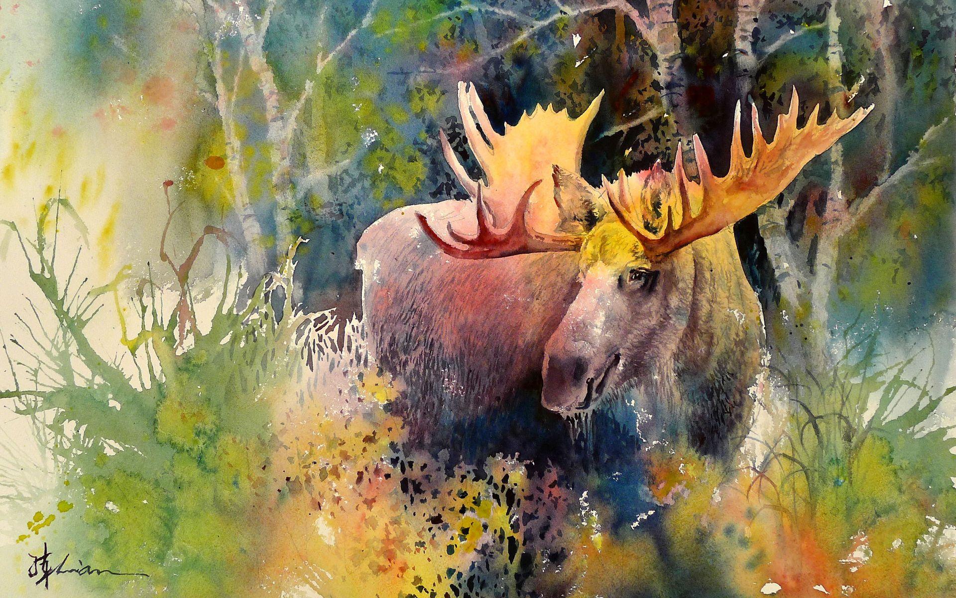 Majestic Moose Great Forest wallpaper. Majestic Moose Great