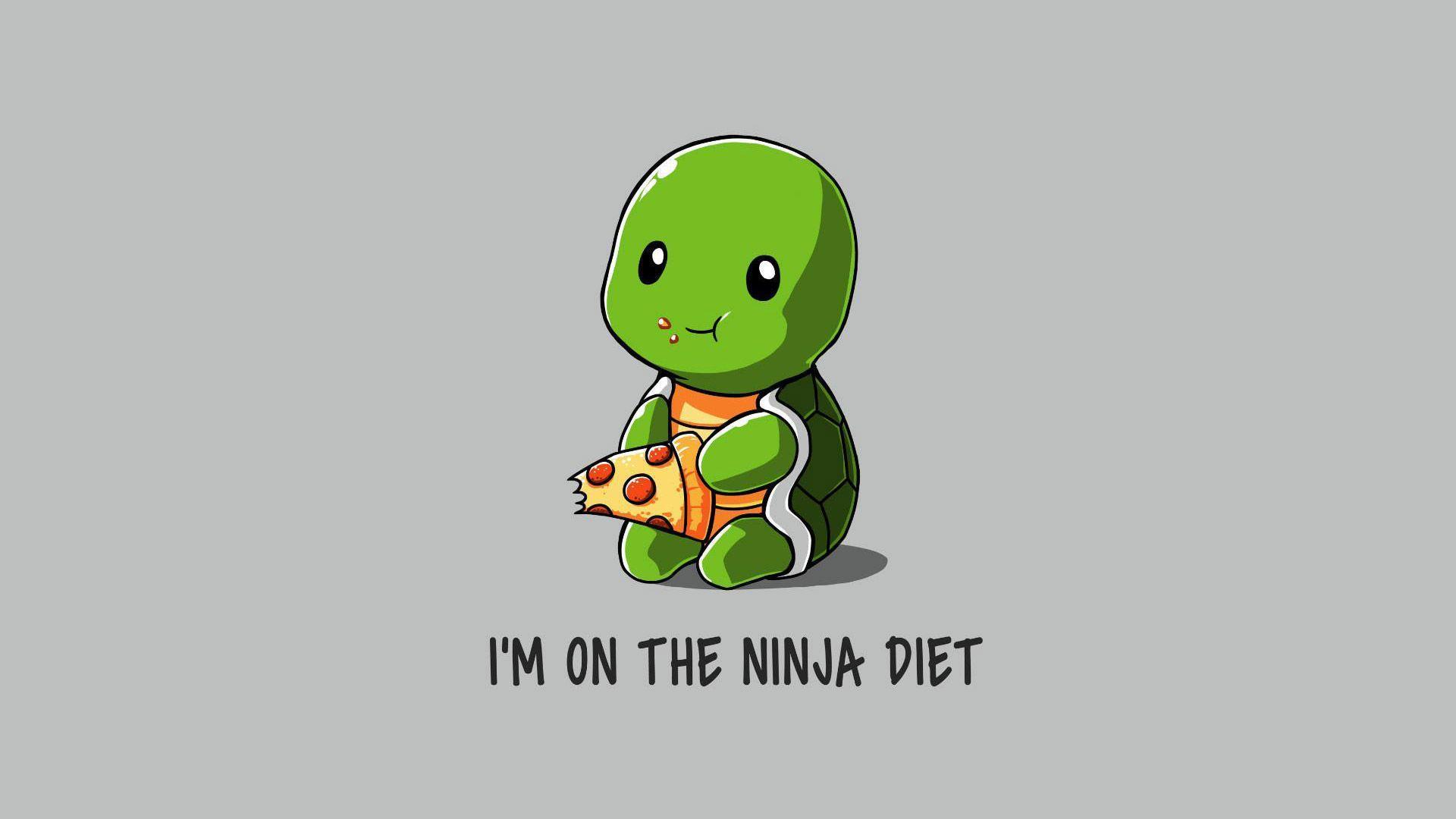 Funny Ninja On Diet. Funny HD 4k Wallpaper