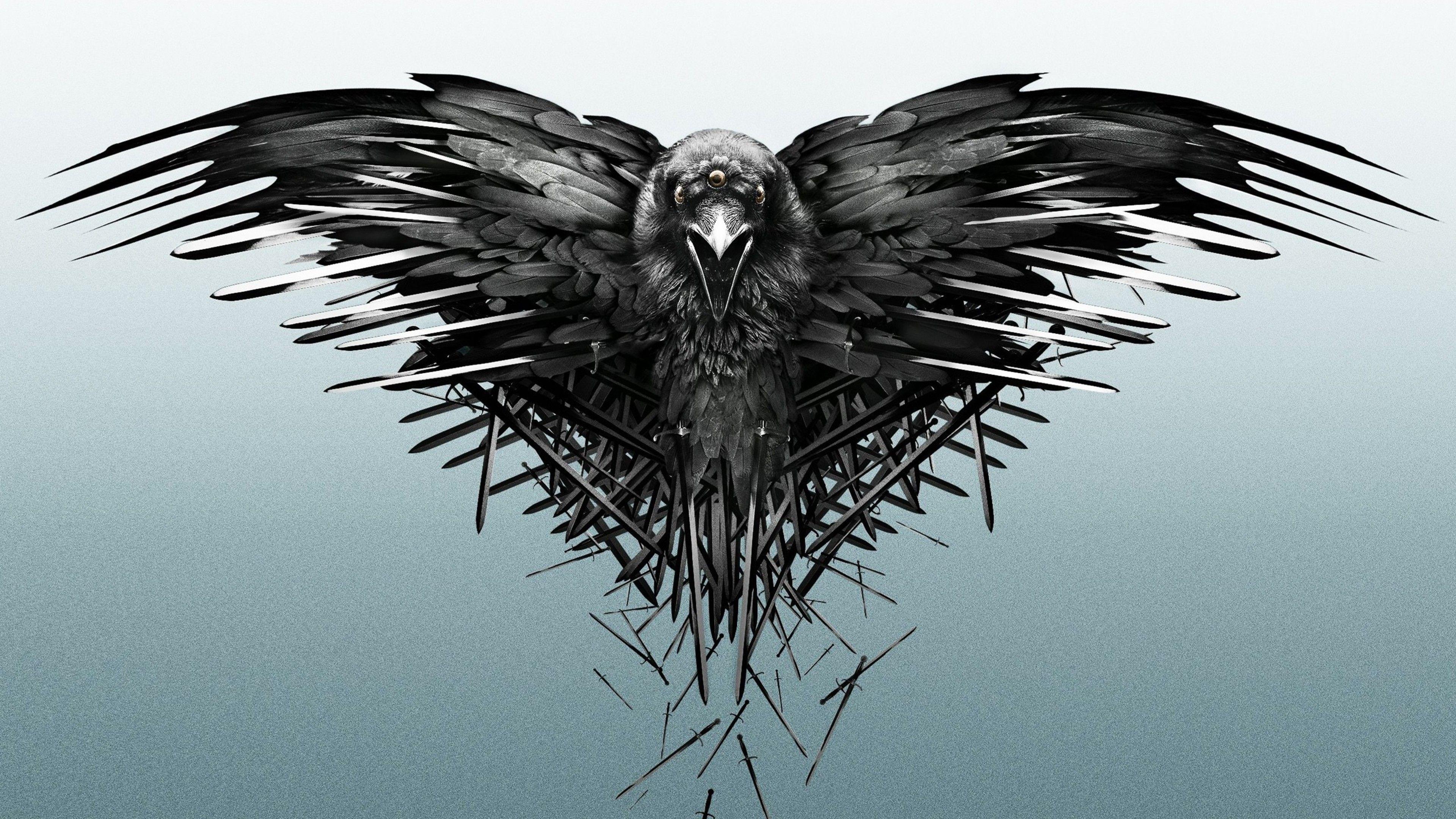 Game Of Thrones Raven. Tv Shows HD 4k Wallpaper