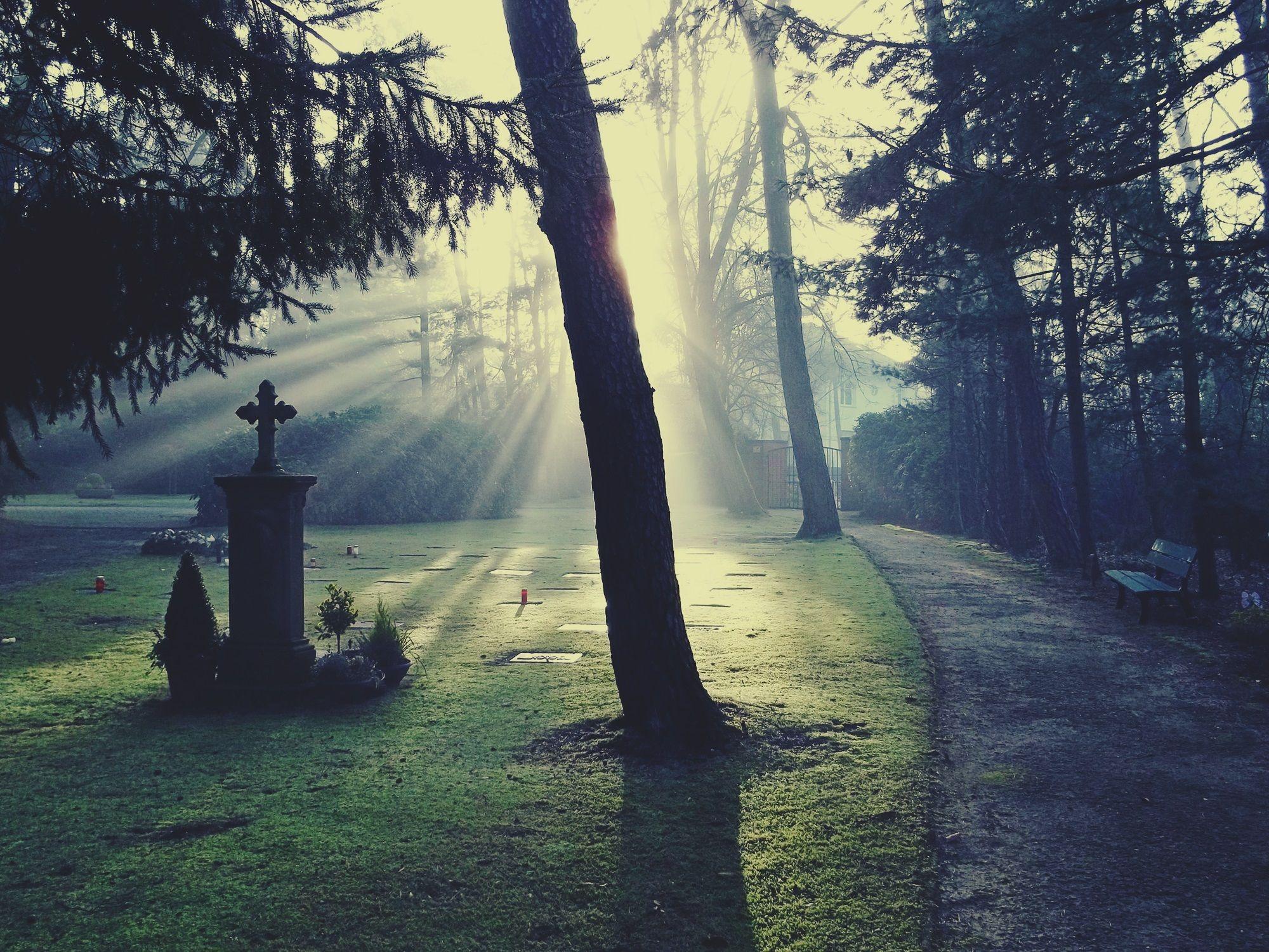 Gravestone HD Wallpaper and Background Image
