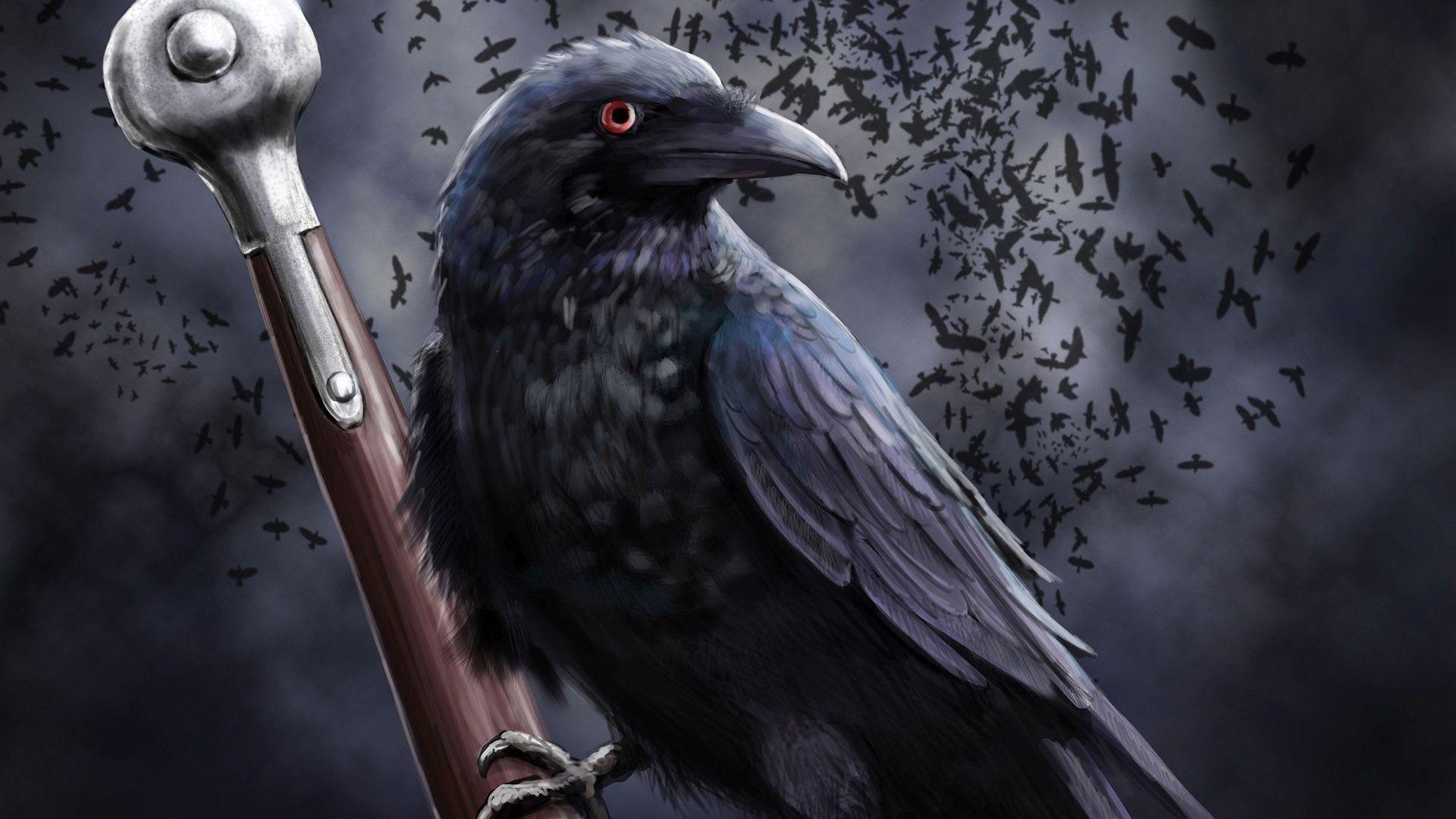 Raven on the sword HD desktop wallpaper, Widescreen, High