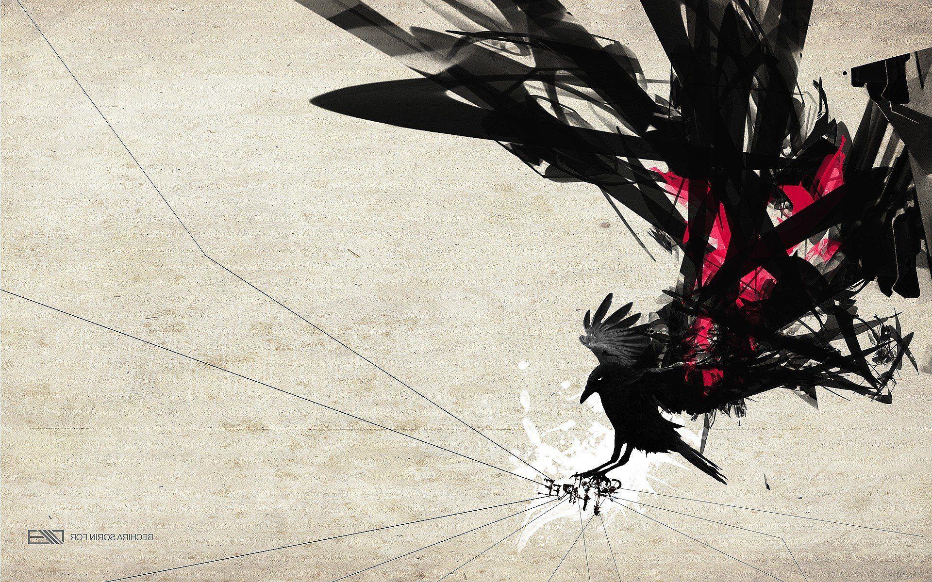 Raven Wallpaper, Raven Wallpaper. Raven Awesome Photo