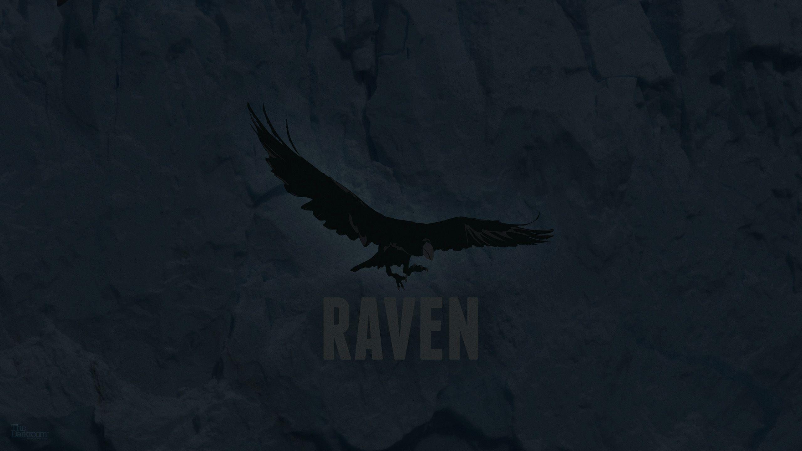 Raven Wallpaper, Raven Wallpaper. Raven Awesome Photo