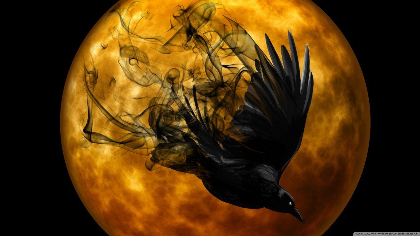 Halloween Raven HD desktop wallpaper, Widescreen