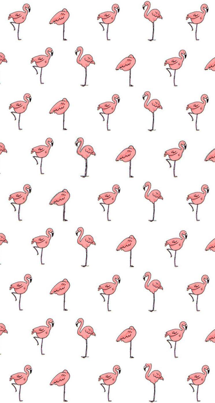 Free iPhone Wallpapers Flamingos