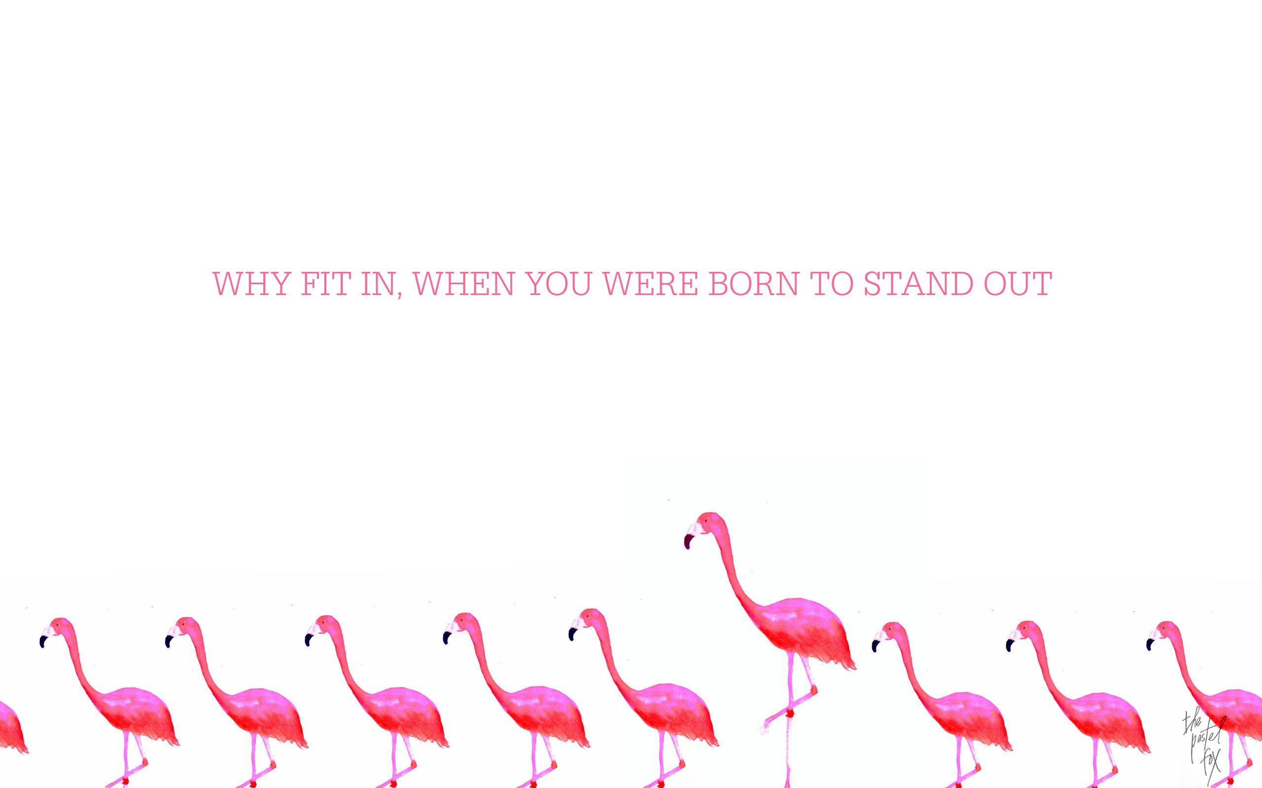 Flamingo Desktop Wallpapers