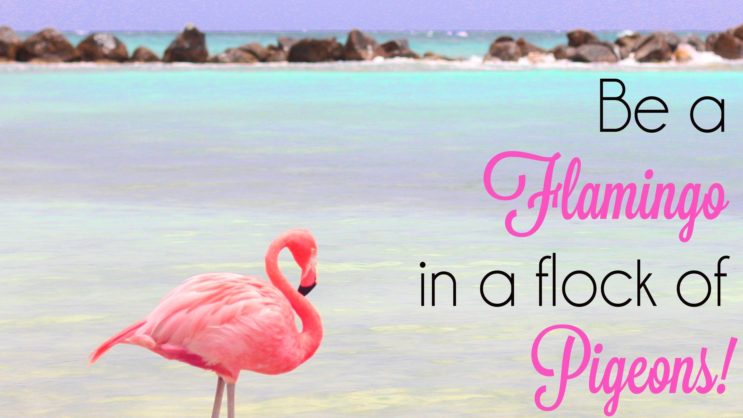 Flamingo Desktop Wallpapers