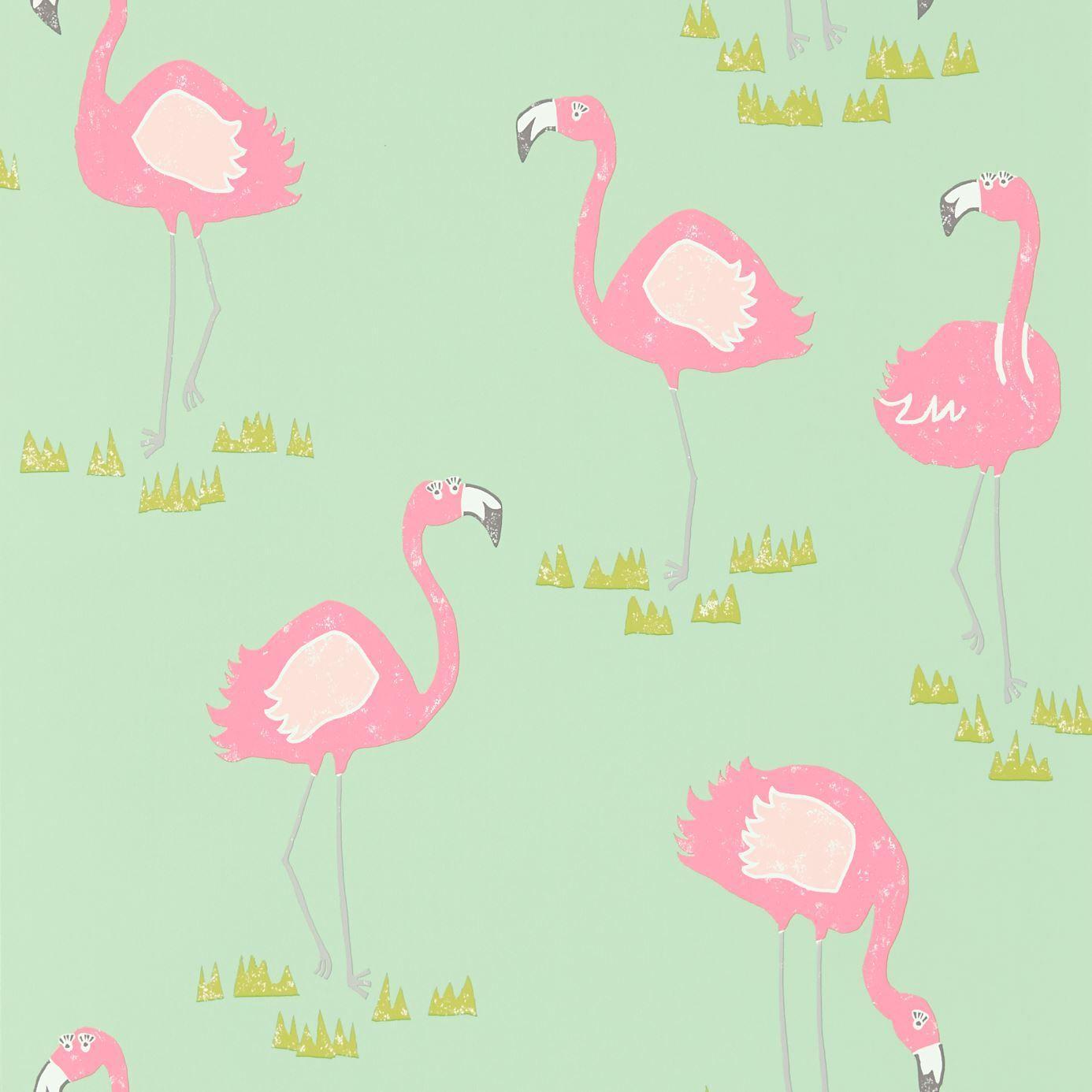 Gallery For: Flamingo Wallpaper, Flamingo Wallpapers, Top 47 HQ