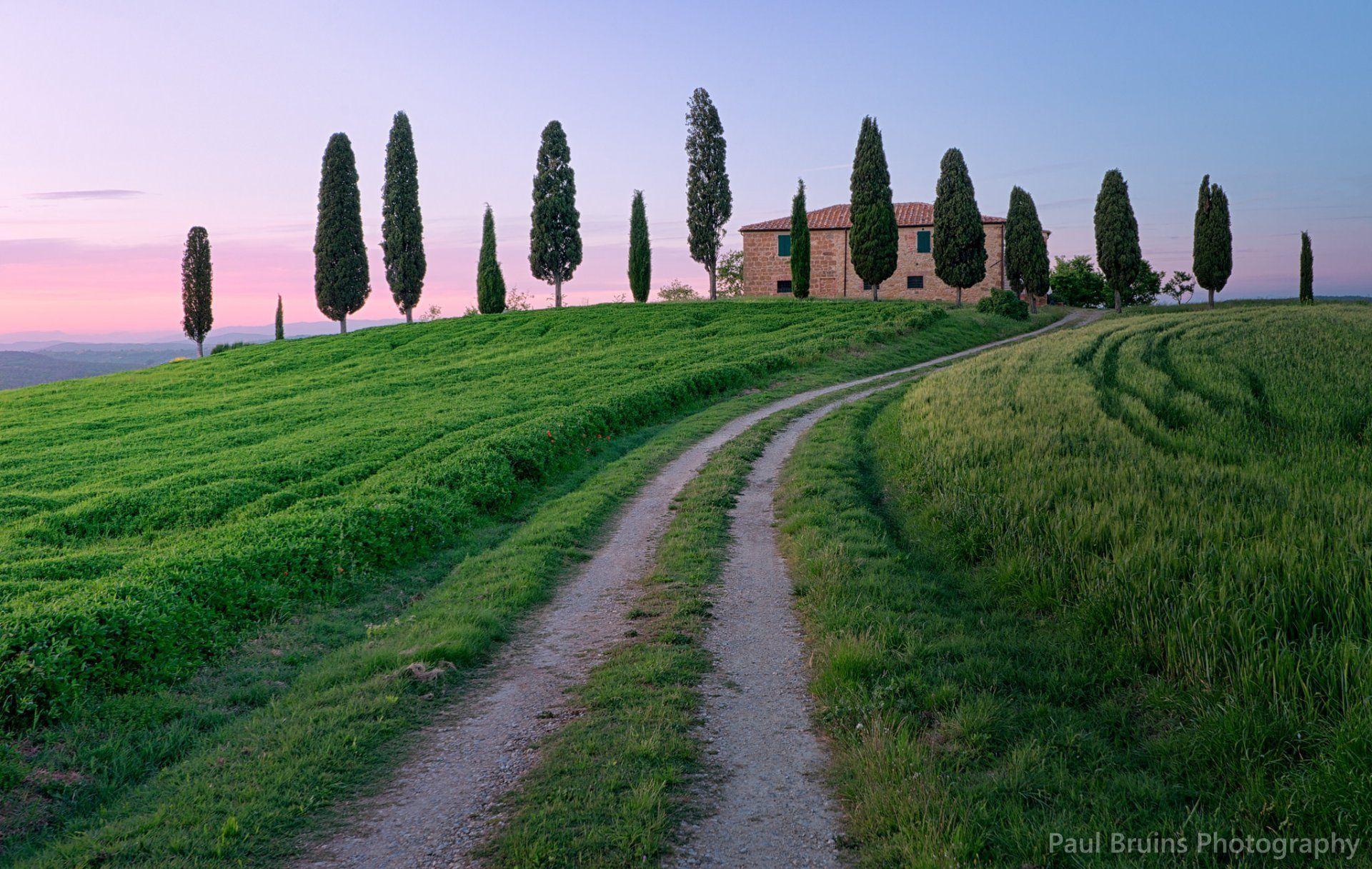 italy tuscany road path grass tree cypress night pink sunset sky