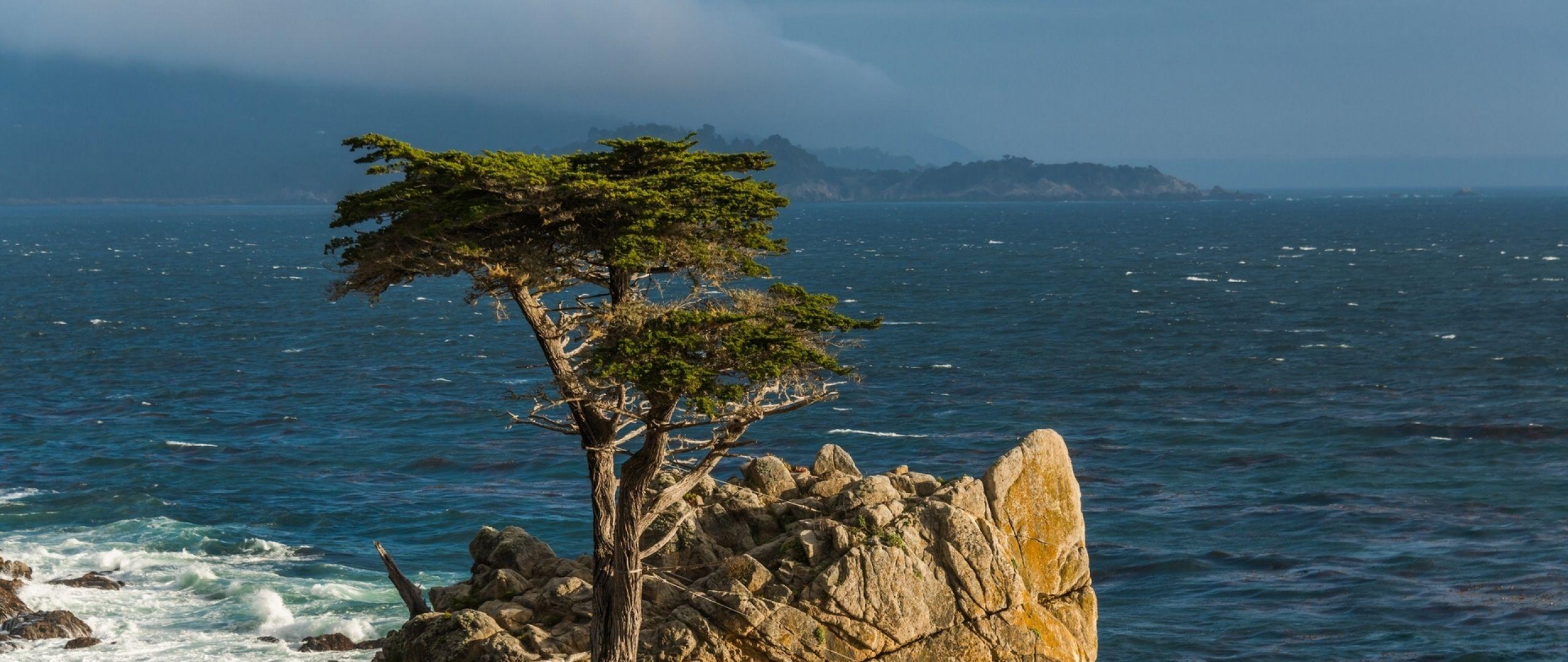 Download Wallpaper 2560x1080 Lone cypress, Monterey peninsula